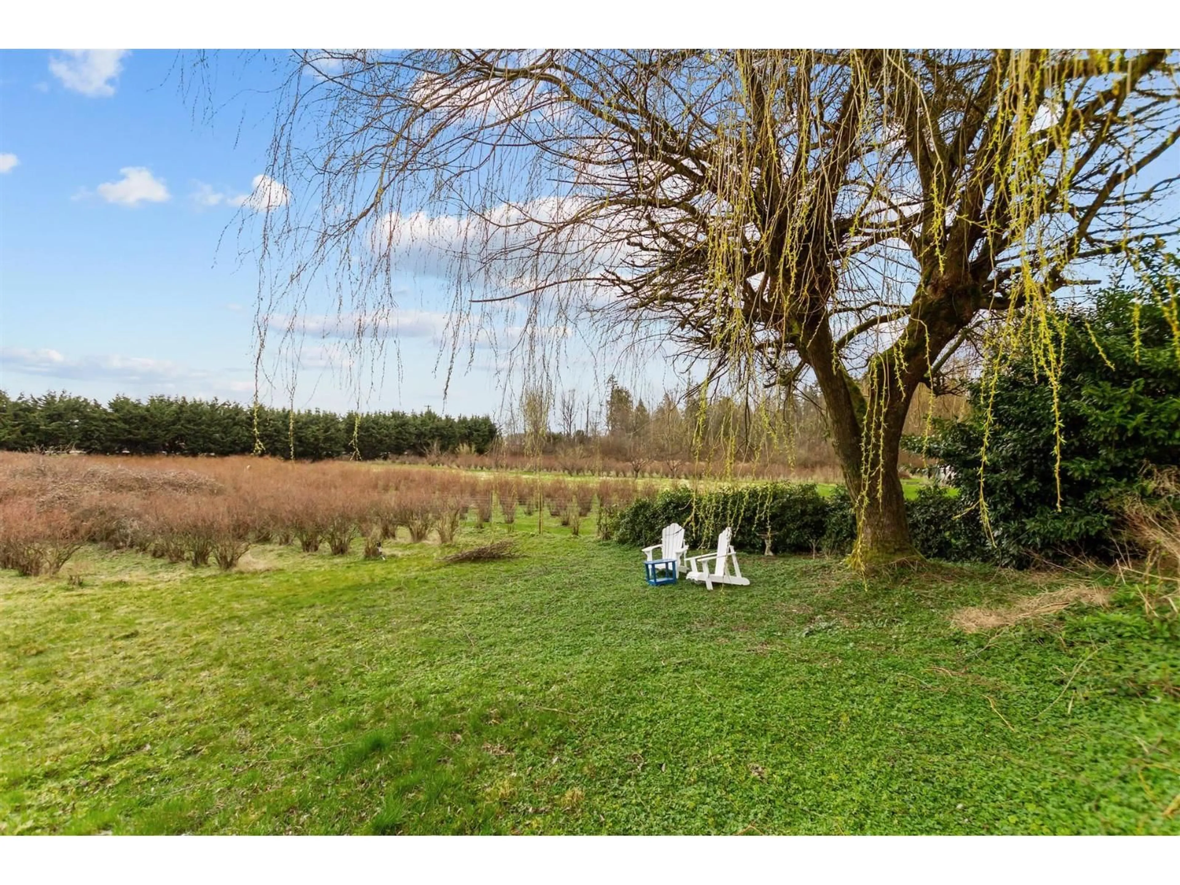 Patio, water/lake/river/ocean view for 17325 31, Surrey British Columbia V3Z0C2