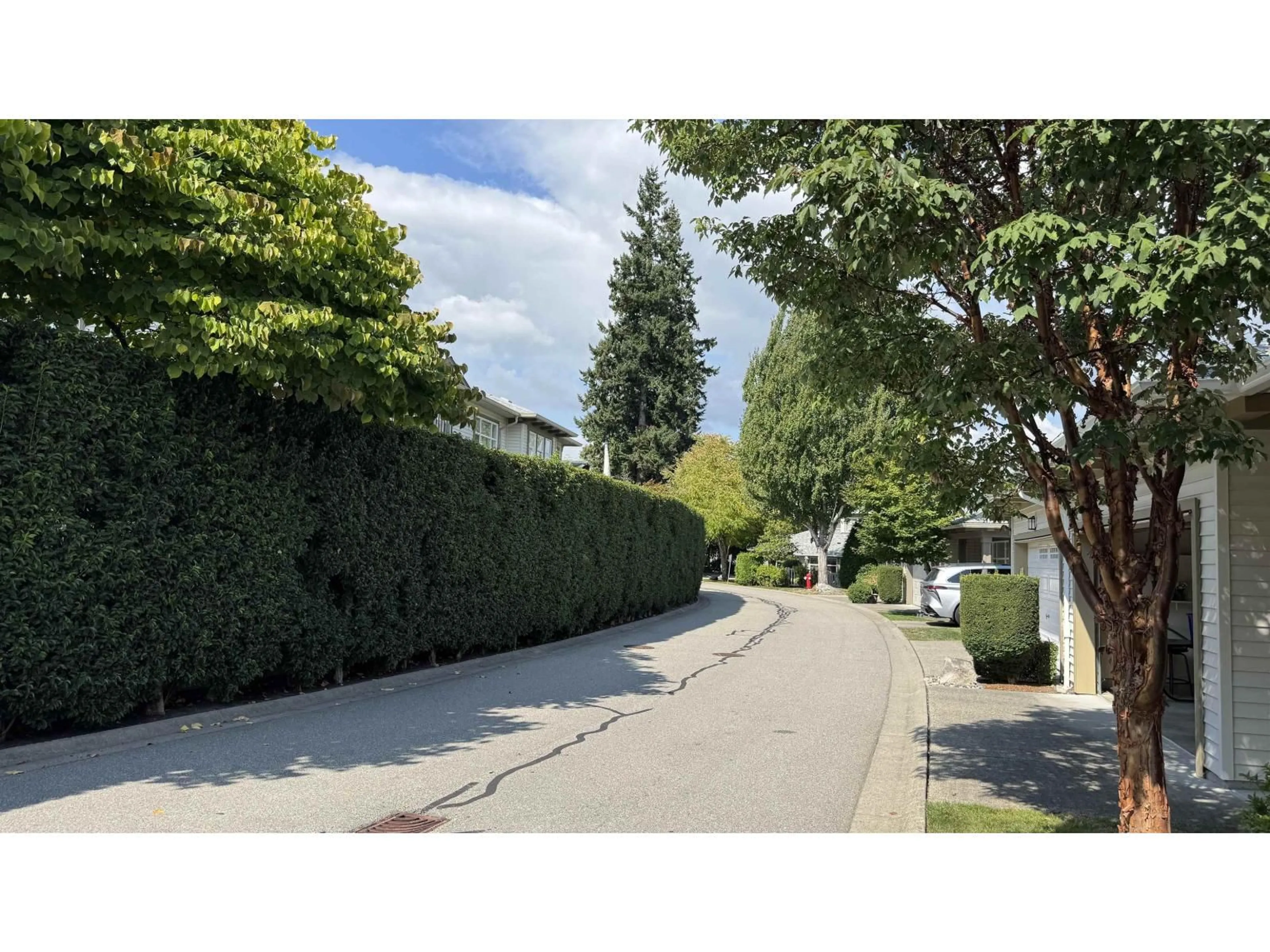 A pic from outside/outdoor area/front of a property/back of a property/a pic from drone, street for #18 - 15188 62A, Surrey British Columbia V3S1W7