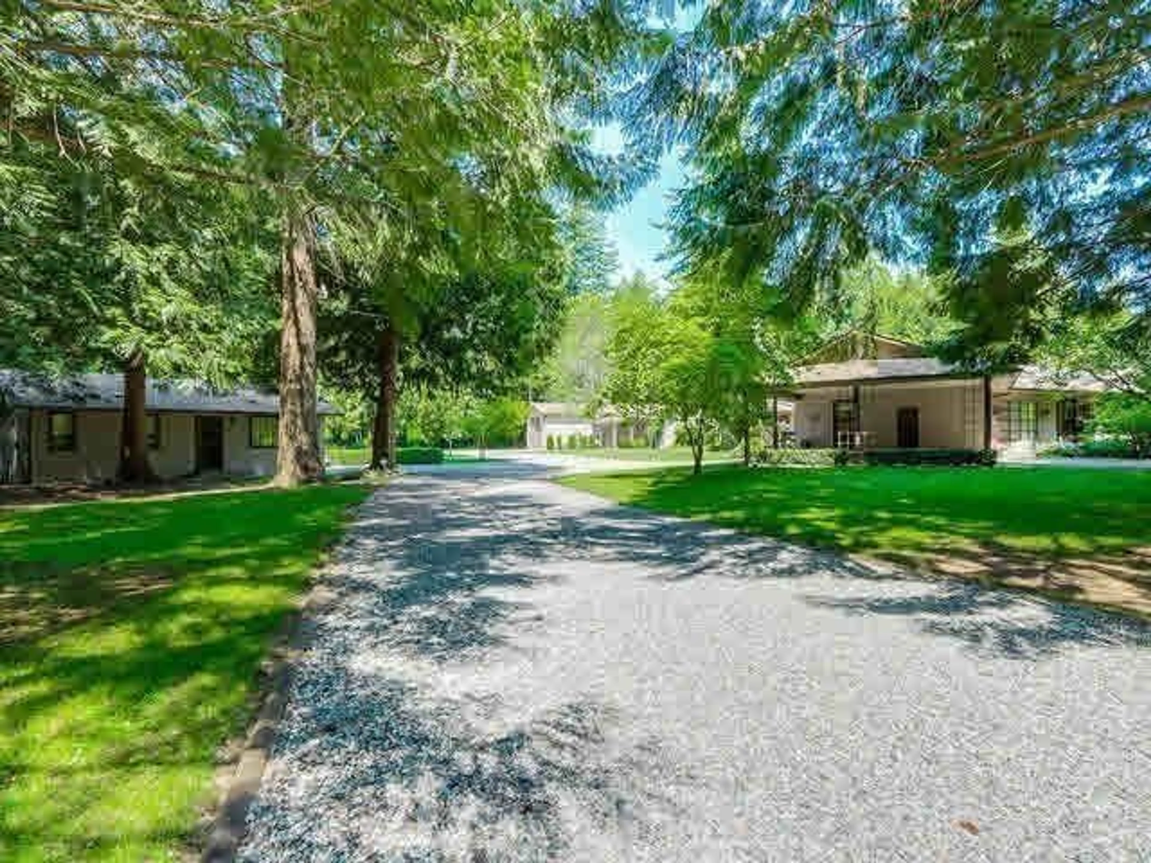 A pic from outside/outdoor area/front of a property/back of a property/a pic from drone, forest/trees view for 20515 20, Langley British Columbia V2Z2A3