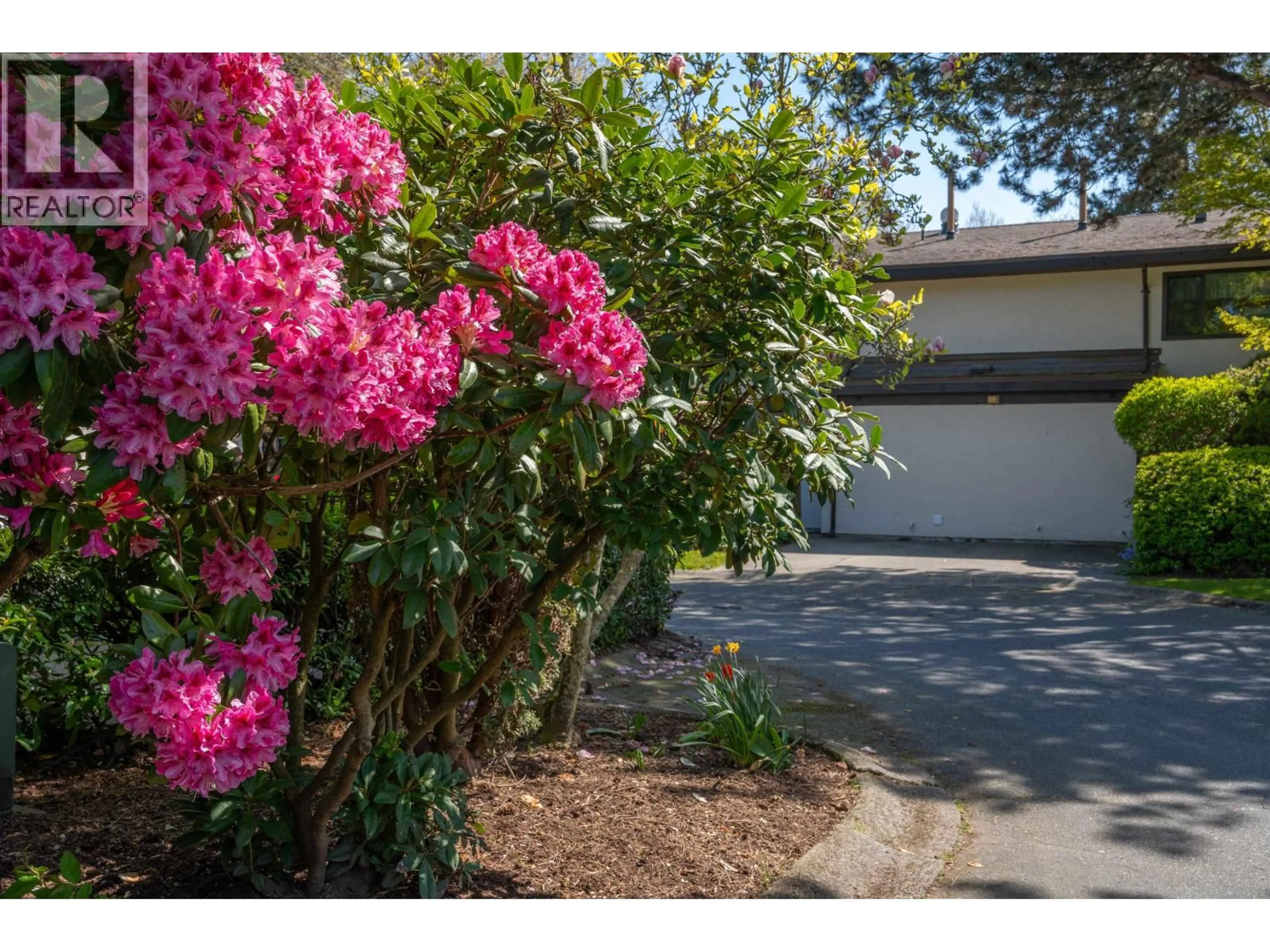 Unknown for 71 - 11491 7TH AVENUE, Richmond British Columbia V7E4J5