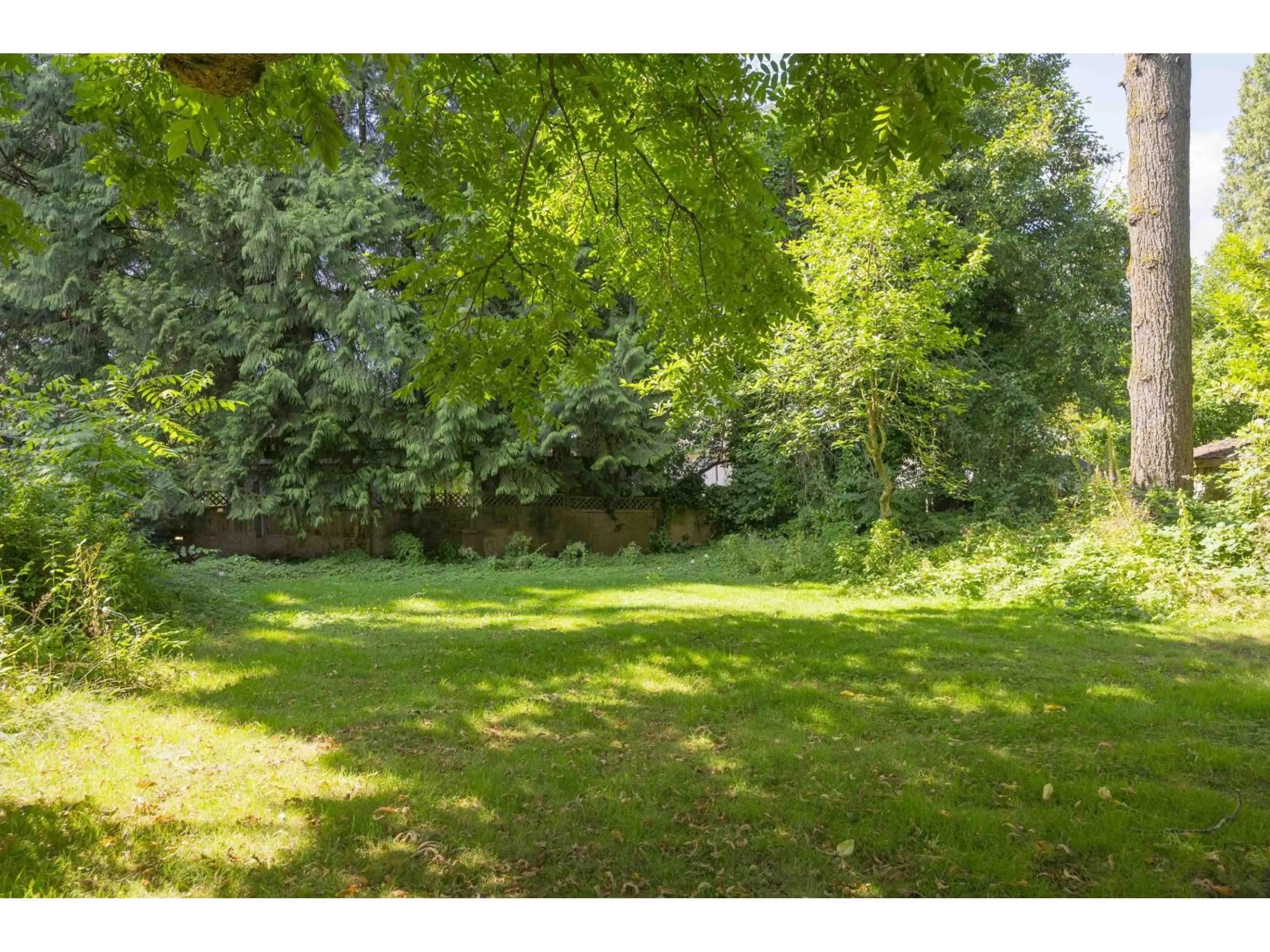 A pic from outside/outdoor area/front of a property/back of a property/a pic from drone, forest/trees view for 14266 MELROSE, Surrey British Columbia V3R5R4