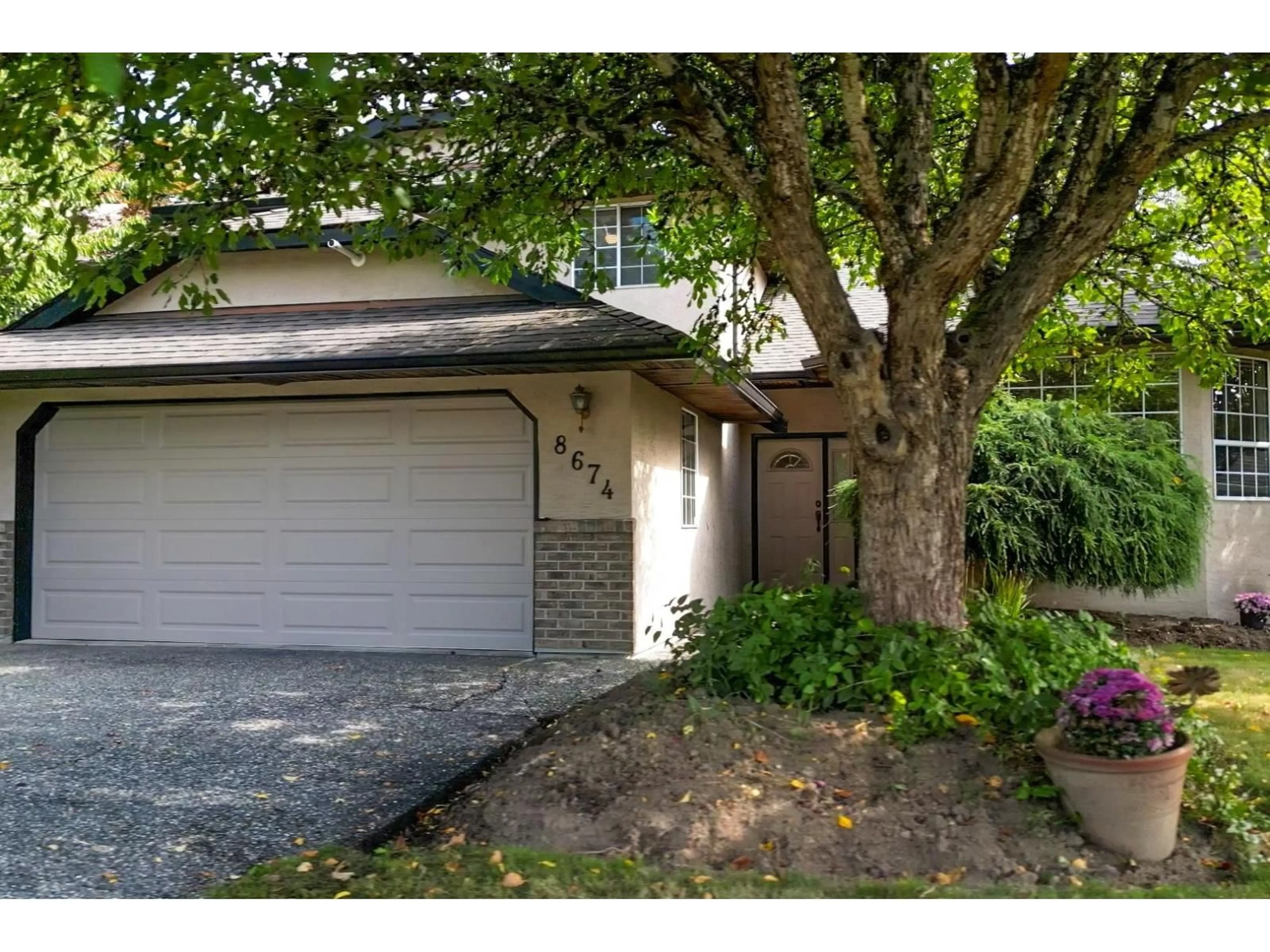 Unknown for 8674 143, Surrey British Columbia V3W0N7