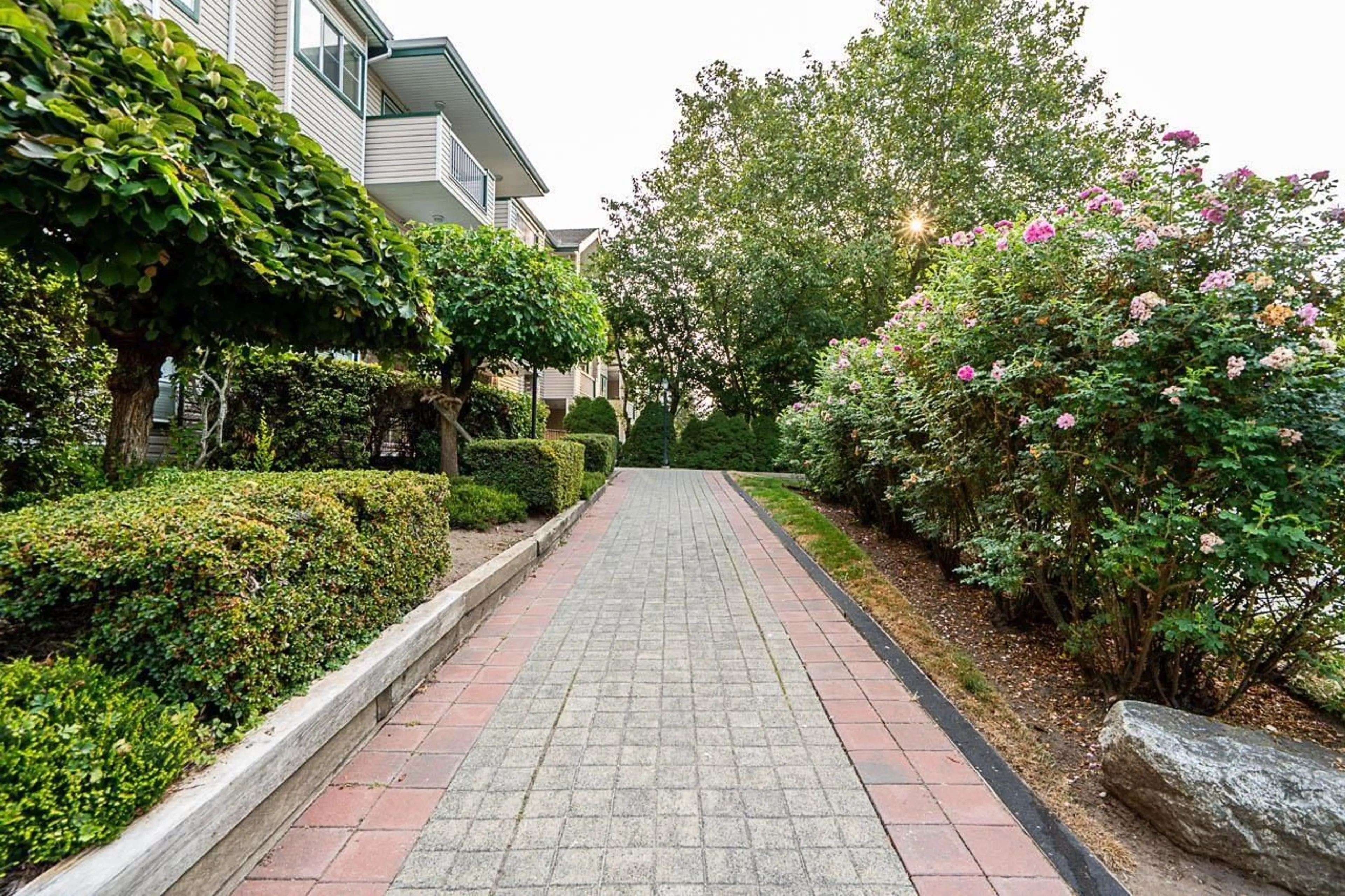 Patio, street for 105 - 13911 70, Surrey British Columbia V3W6B4