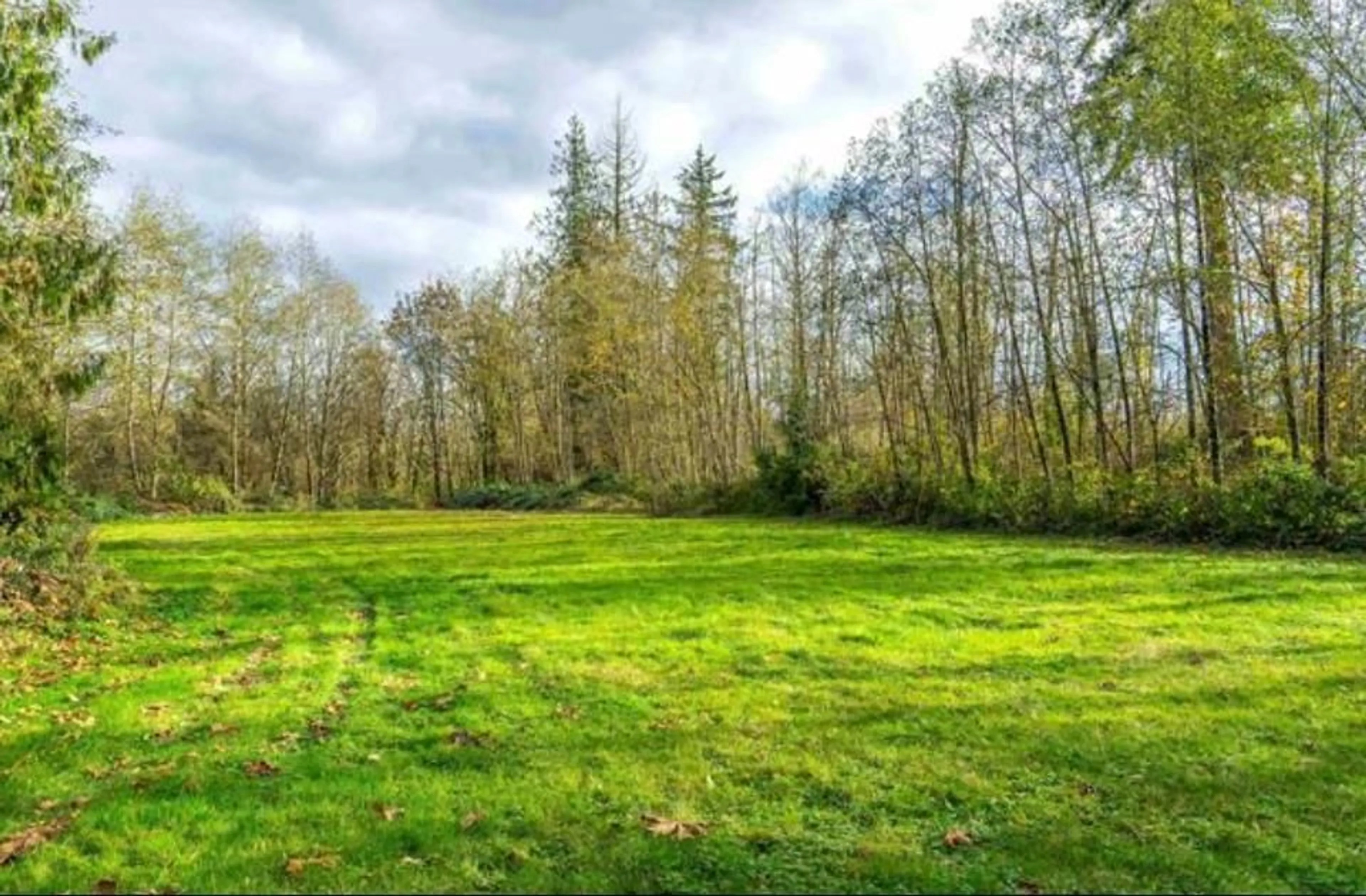 A pic from outside/outdoor area/front of a property/back of a property/a pic from drone, forest/trees view for 25754 82, Langley British Columbia V1M2M8