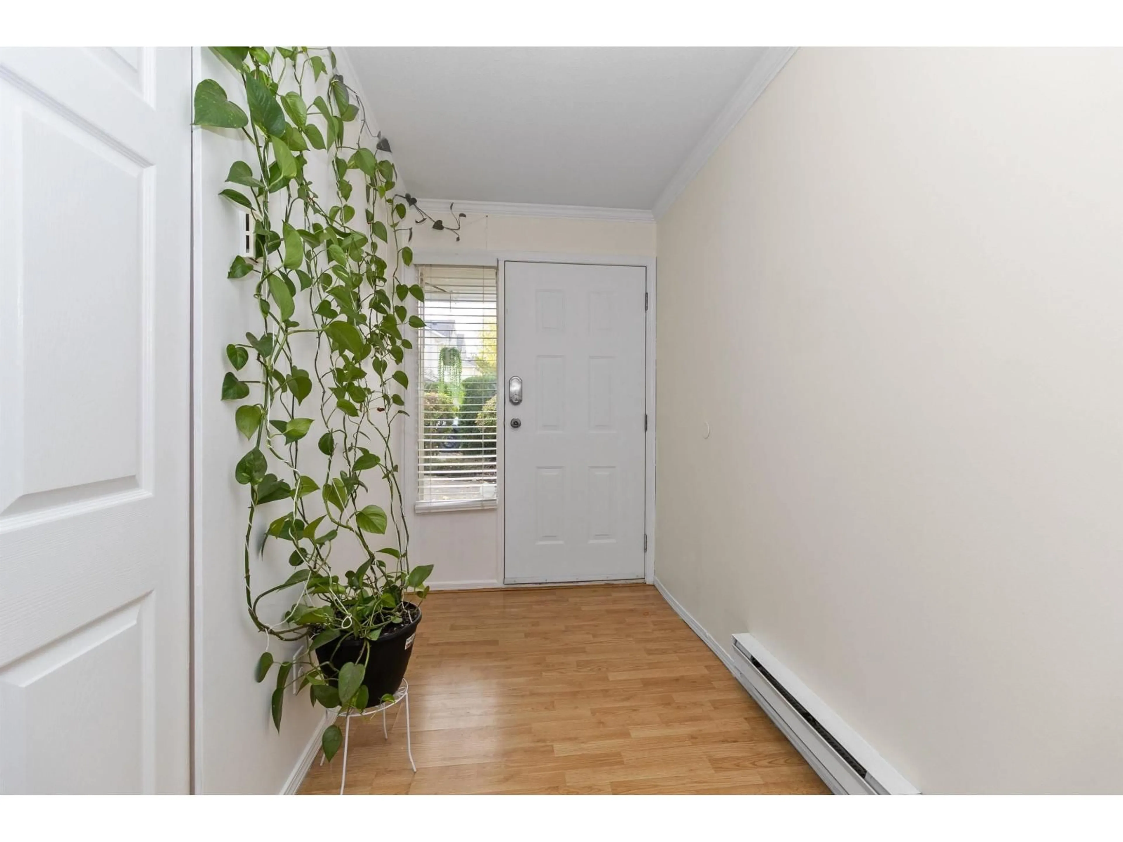 Indoor entryway for 53 - 31255 UPPER MACLURE, Abbotsford British Columbia V2T5N4
