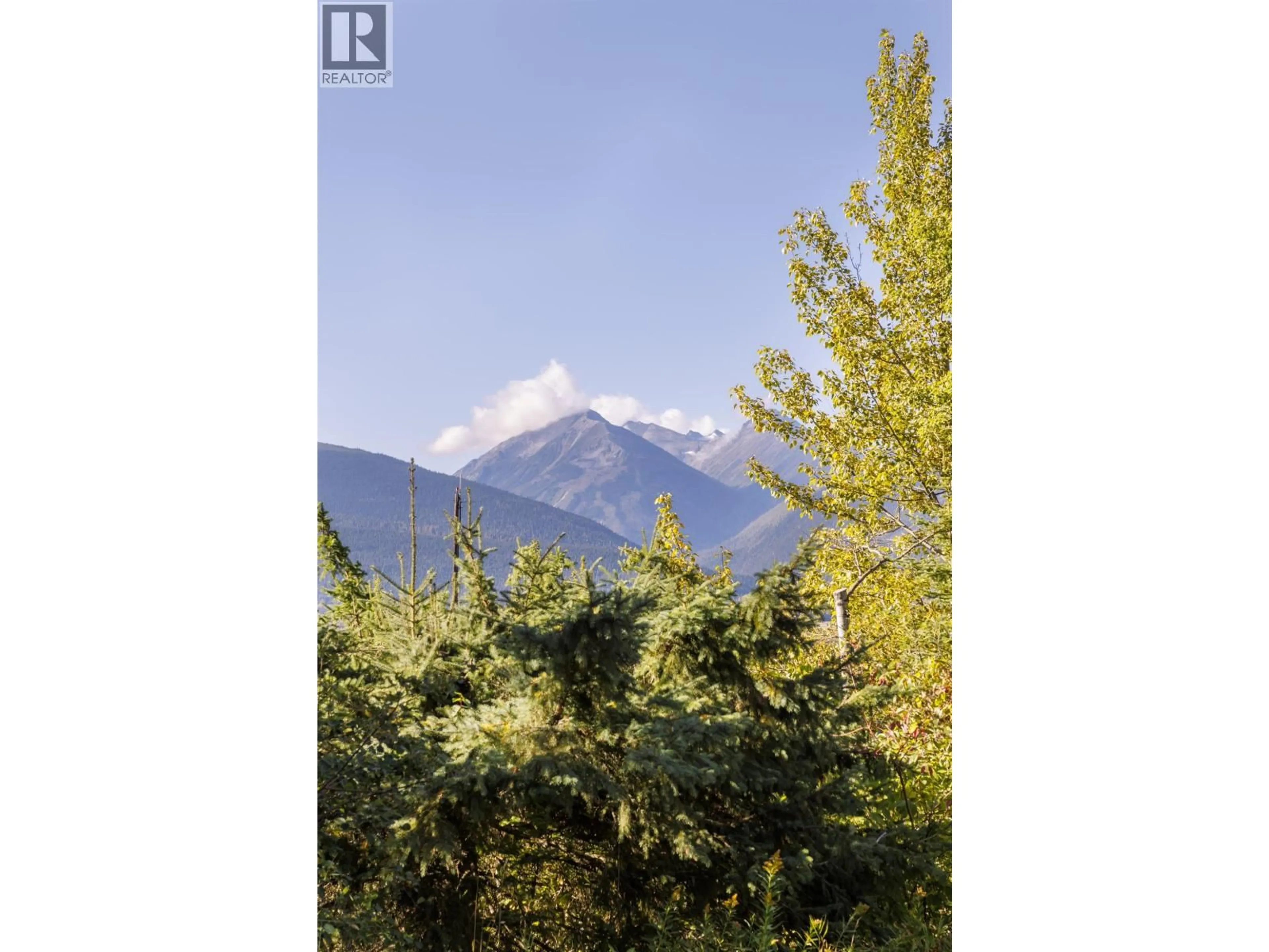 Unknown for 4706 MOUNTAIN VIEW ROAD, McBride British Columbia V0J2E0