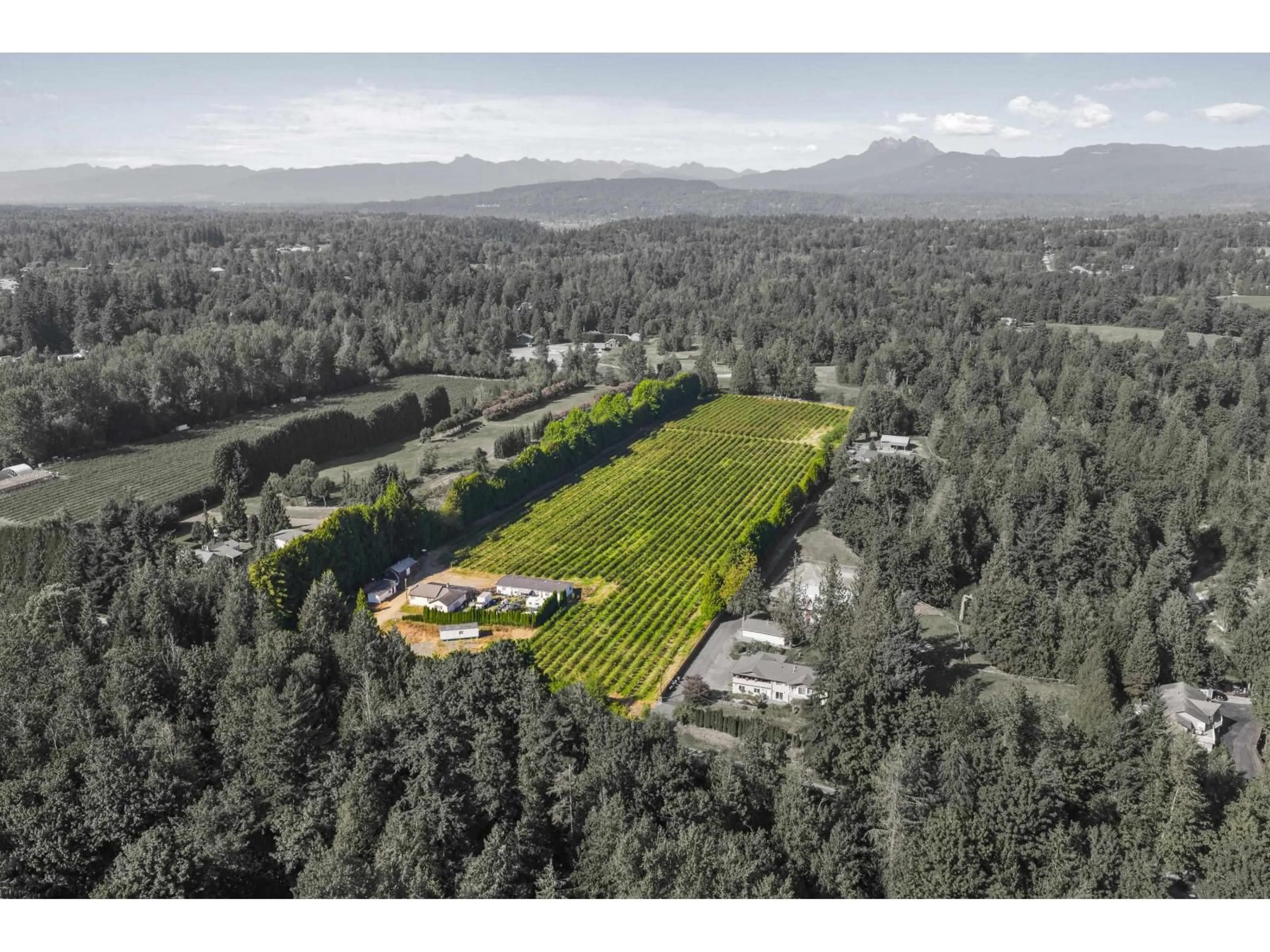 A pic from outside/outdoor area/front of a property/back of a property/a pic from drone, mountain view for 27911 56, Abbotsford British Columbia V4X1S5