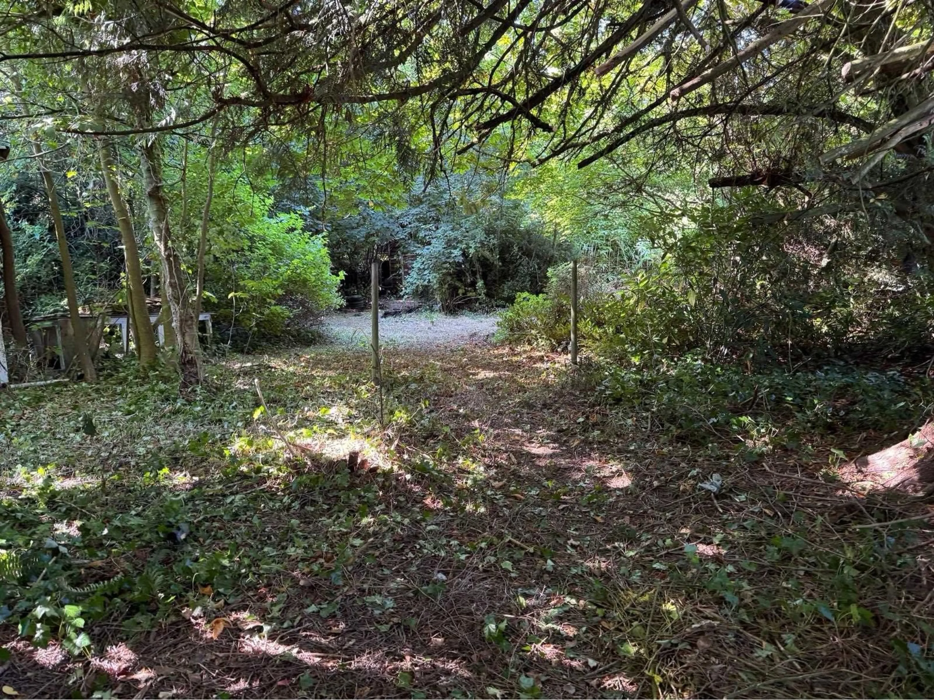 A pic from outside/outdoor area/front of a property/back of a property/a pic from drone, forest/trees view for 24919 57, Langley British Columbia V4W1T6