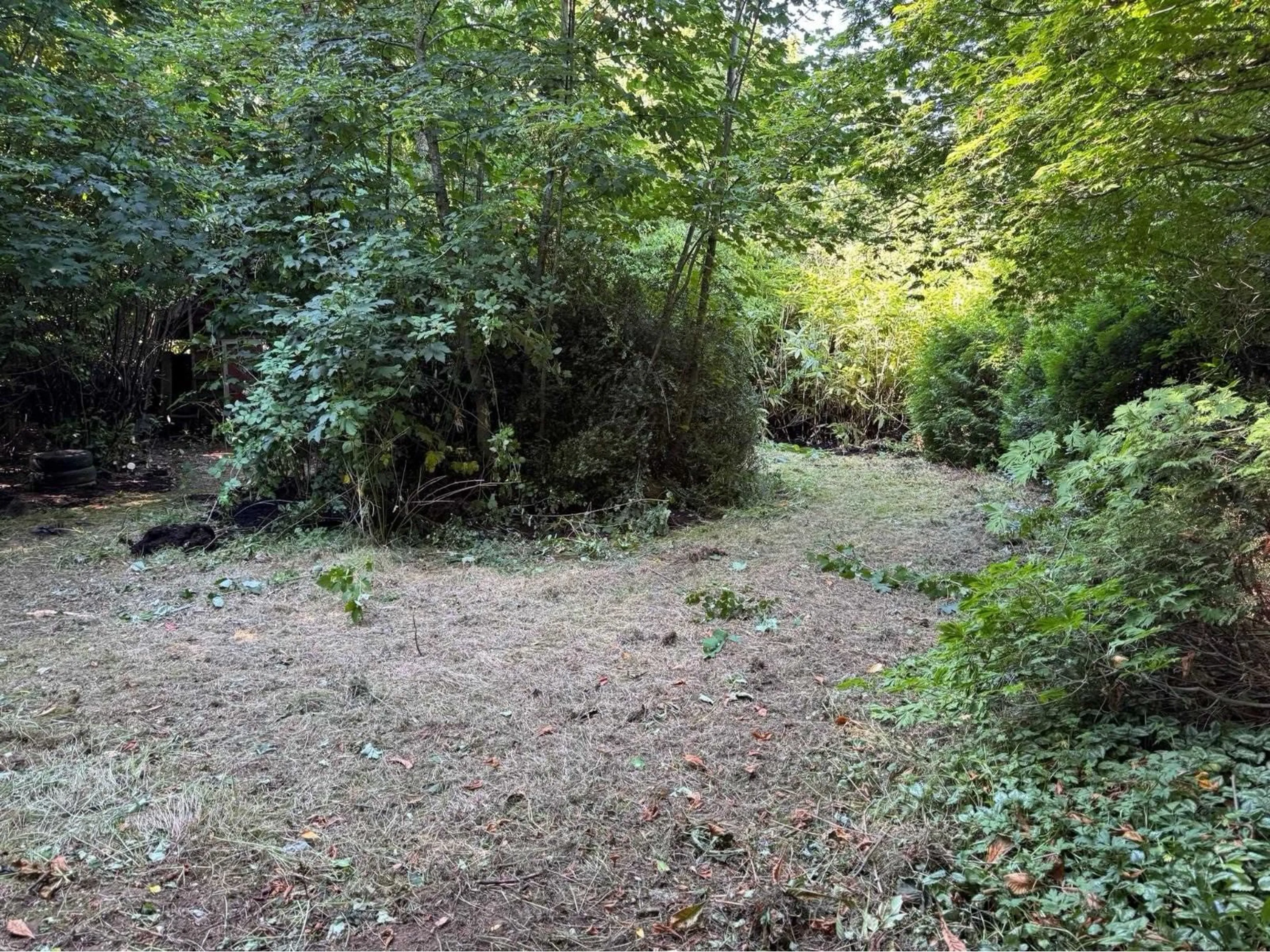 A pic from outside/outdoor area/front of a property/back of a property/a pic from drone, forest/trees view for 24919 57, Langley British Columbia V4W1T6