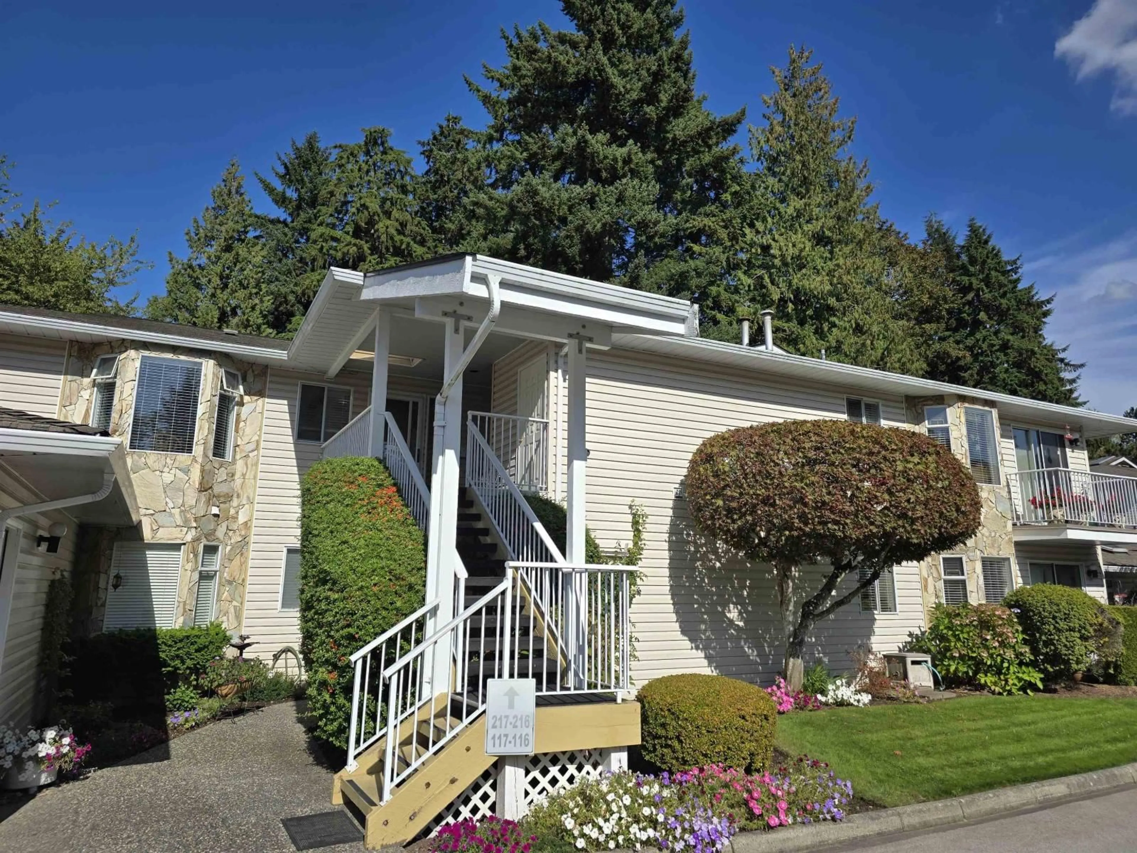 Home with vinyl exterior material, street for 217 - 10584 153, Surrey British Columbia V3R9V1