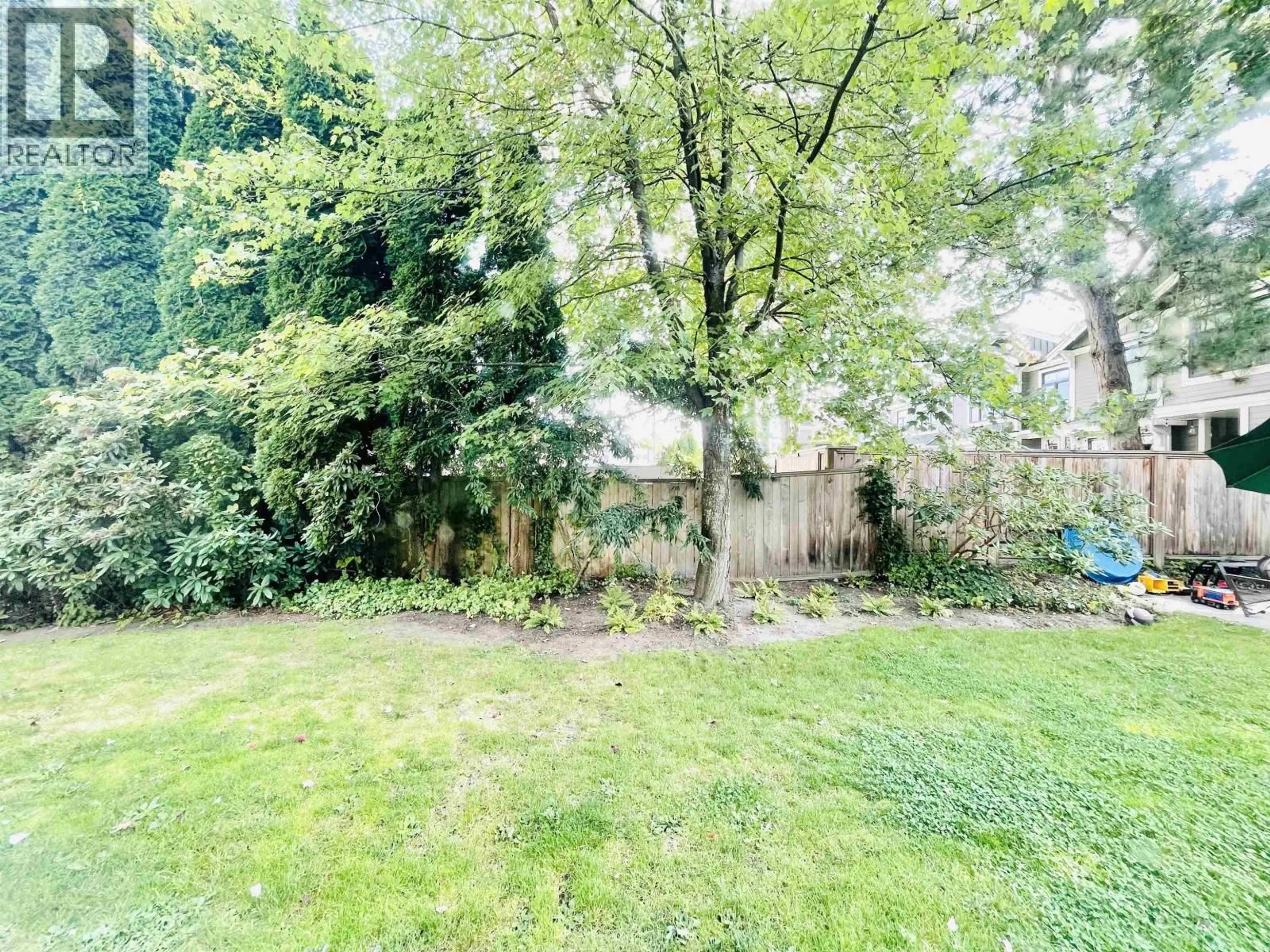 Patio, forest/trees view for 2 - 3238 QUEBEC STREET, Vancouver British Columbia V5V3J7