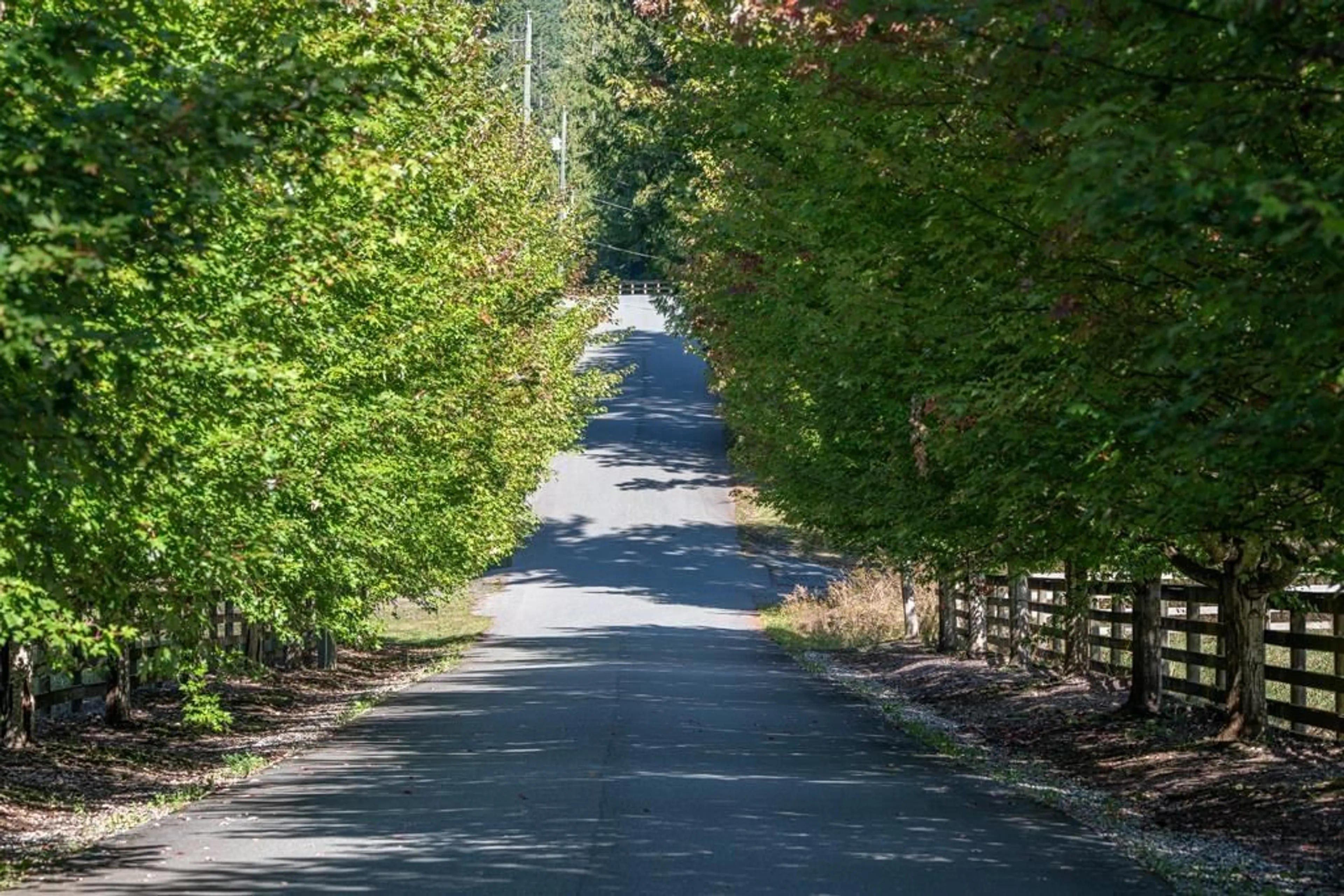 Blurry image for 1400 MAPLE ROCK DRIVE, Columbia Valley British Columbia V2R4X5