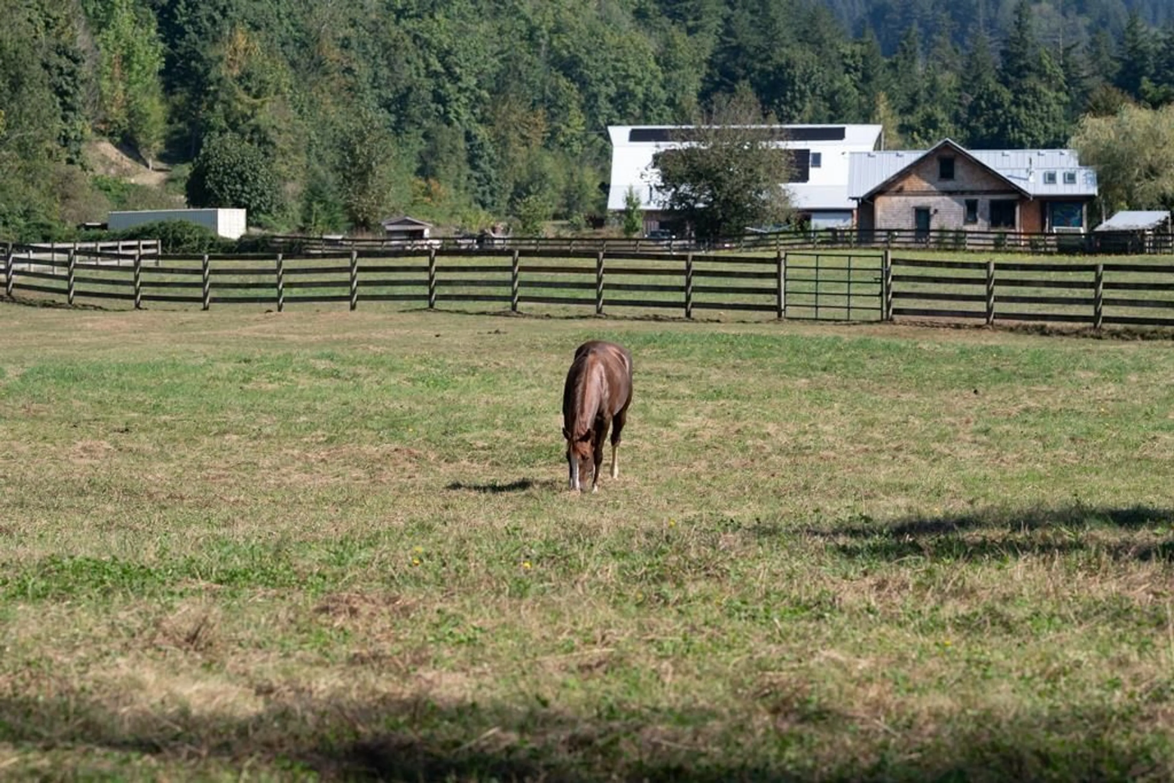 Blurry image for 1400 MAPLE ROCK DRIVE, Columbia Valley British Columbia V2R4X5