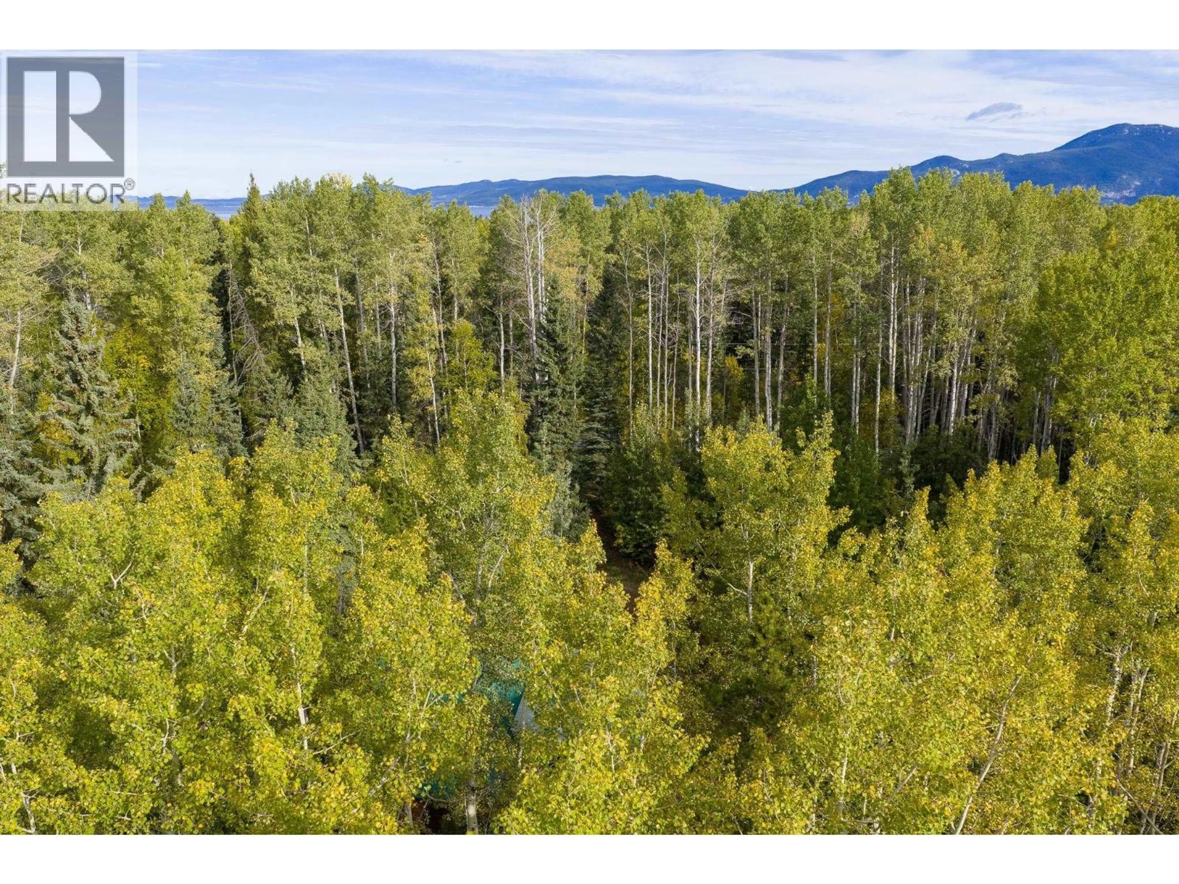 A pic from outside/outdoor area/front of a property/back of a property/a pic from drone, forest/trees view for 12407 SOWCHEA ROAD, Fort St. James British Columbia V0J1P0