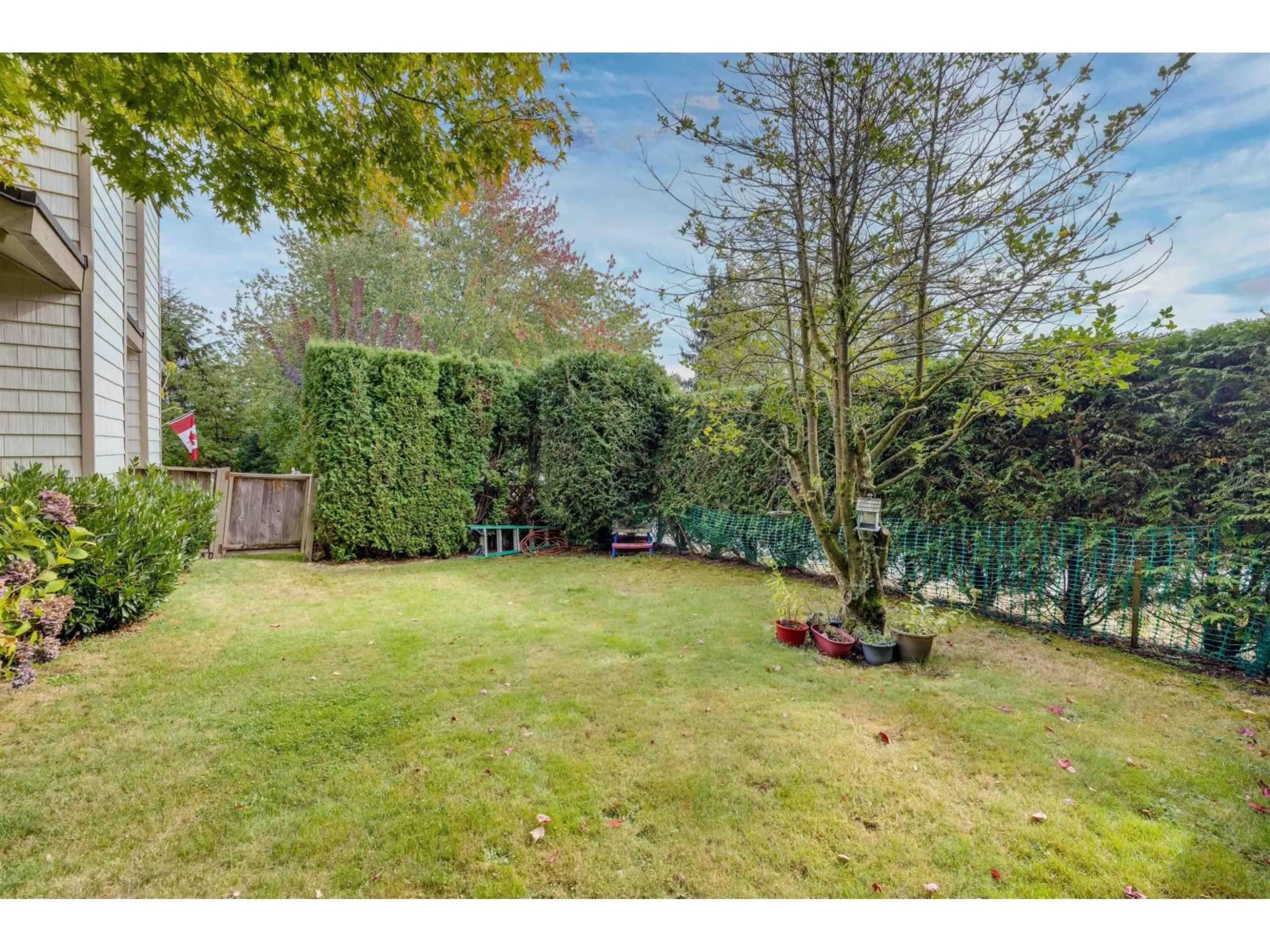 A pic from outside/outdoor area/front of a property/back of a property/a pic from drone, forest/trees view for 6211 GREENSIDE WEST, Surrey British Columbia V3S5M8