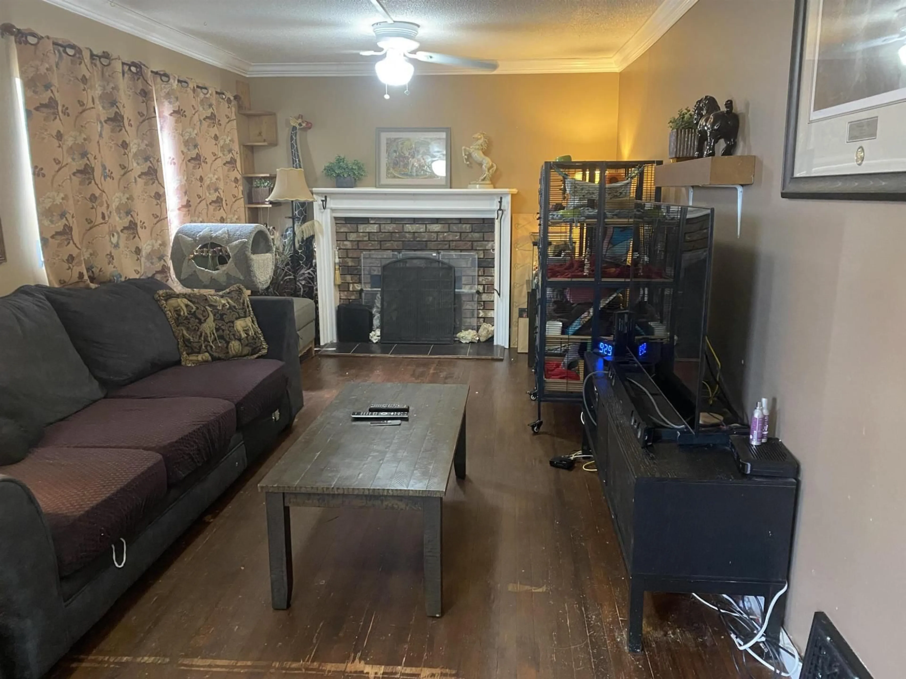 Living room with furniture, wood/laminate floor for 33595 7, Mission British Columbia V2V2G2