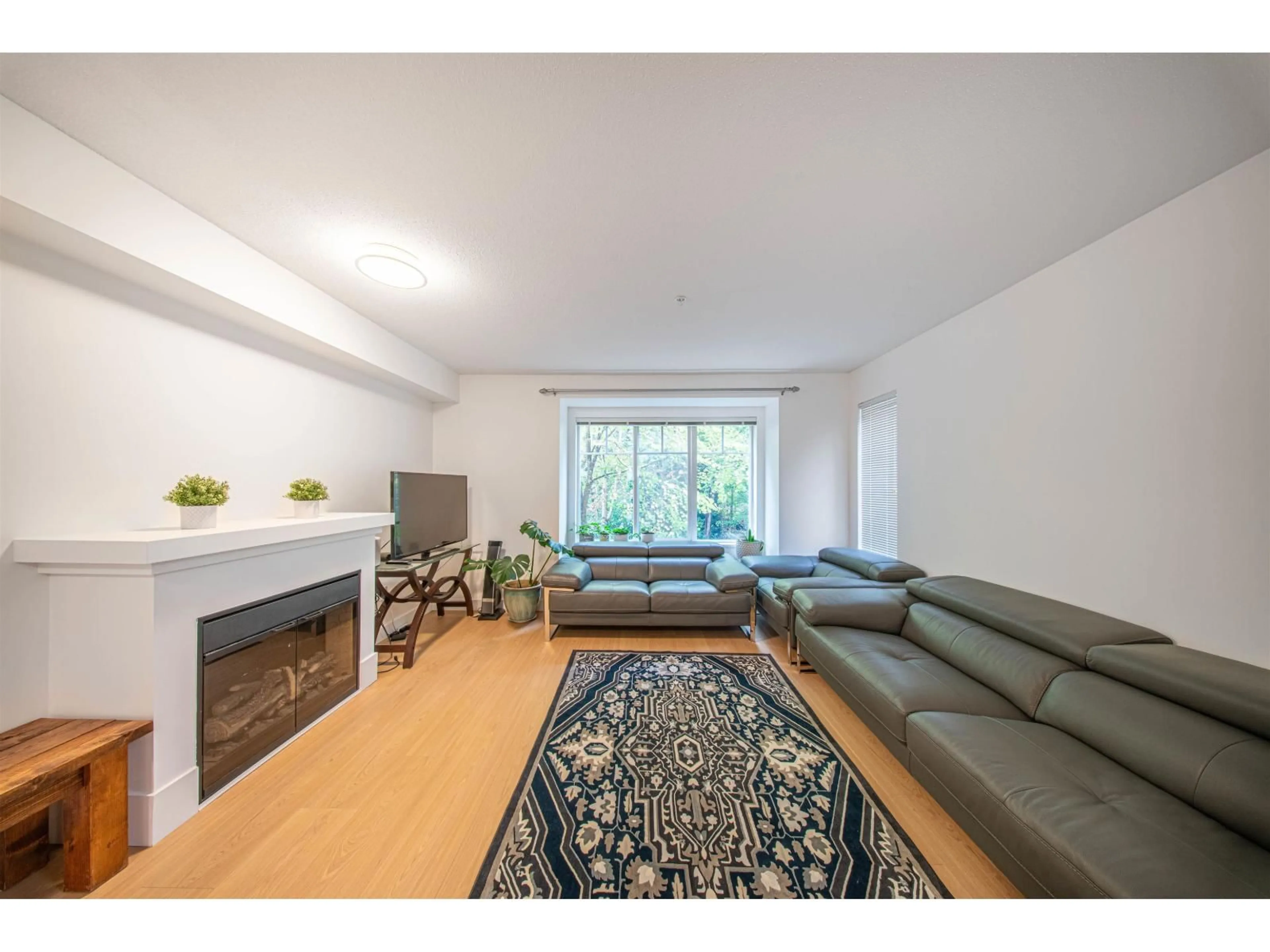 Living room with furniture, unknown for 41 - 20038 70, Langley British Columbia V2Y0B4