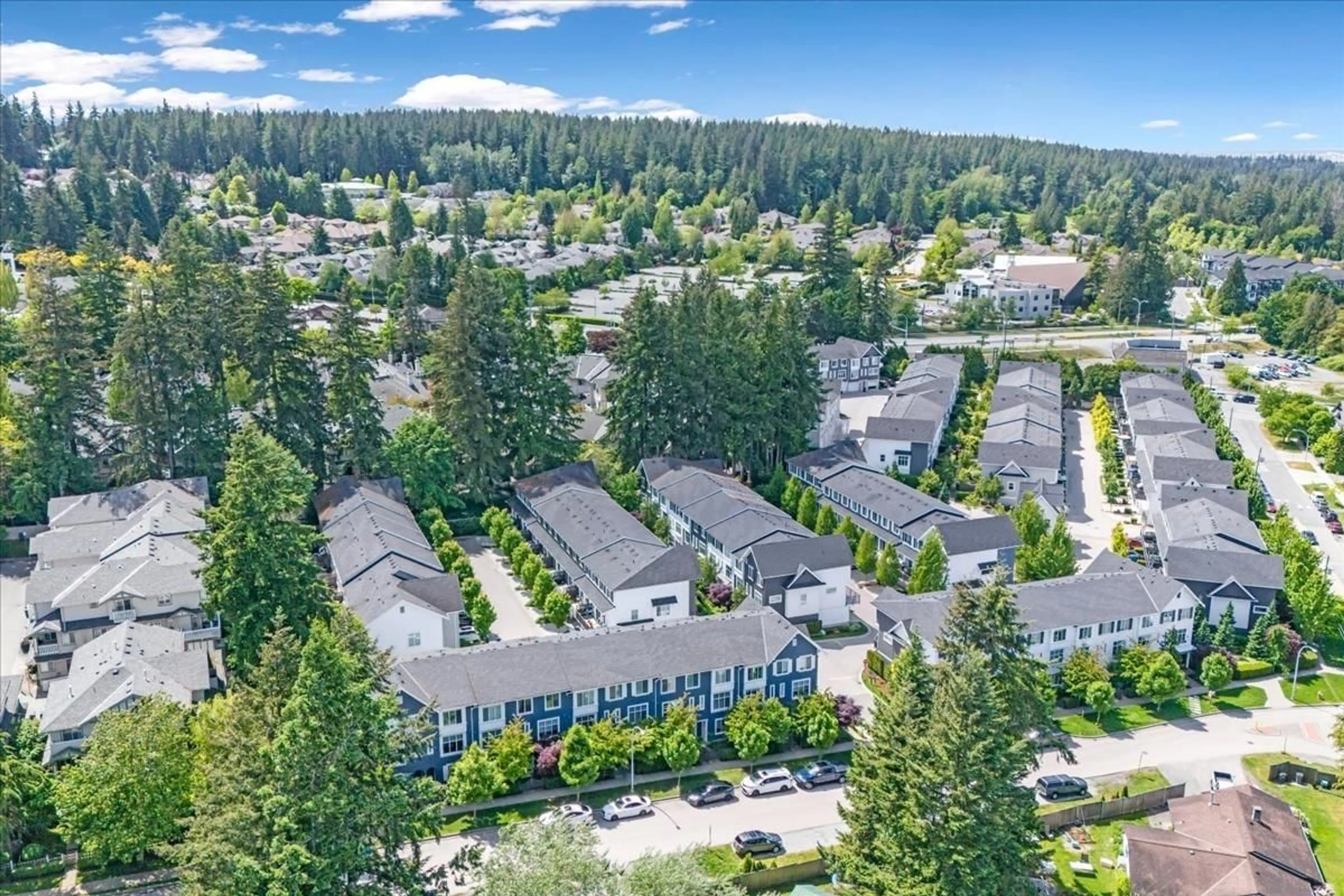 A pic from outside/outdoor area/front of a property/back of a property/a pic from drone, mountain view for 38 - 15268 28, Surrey British Columbia V4P0E8