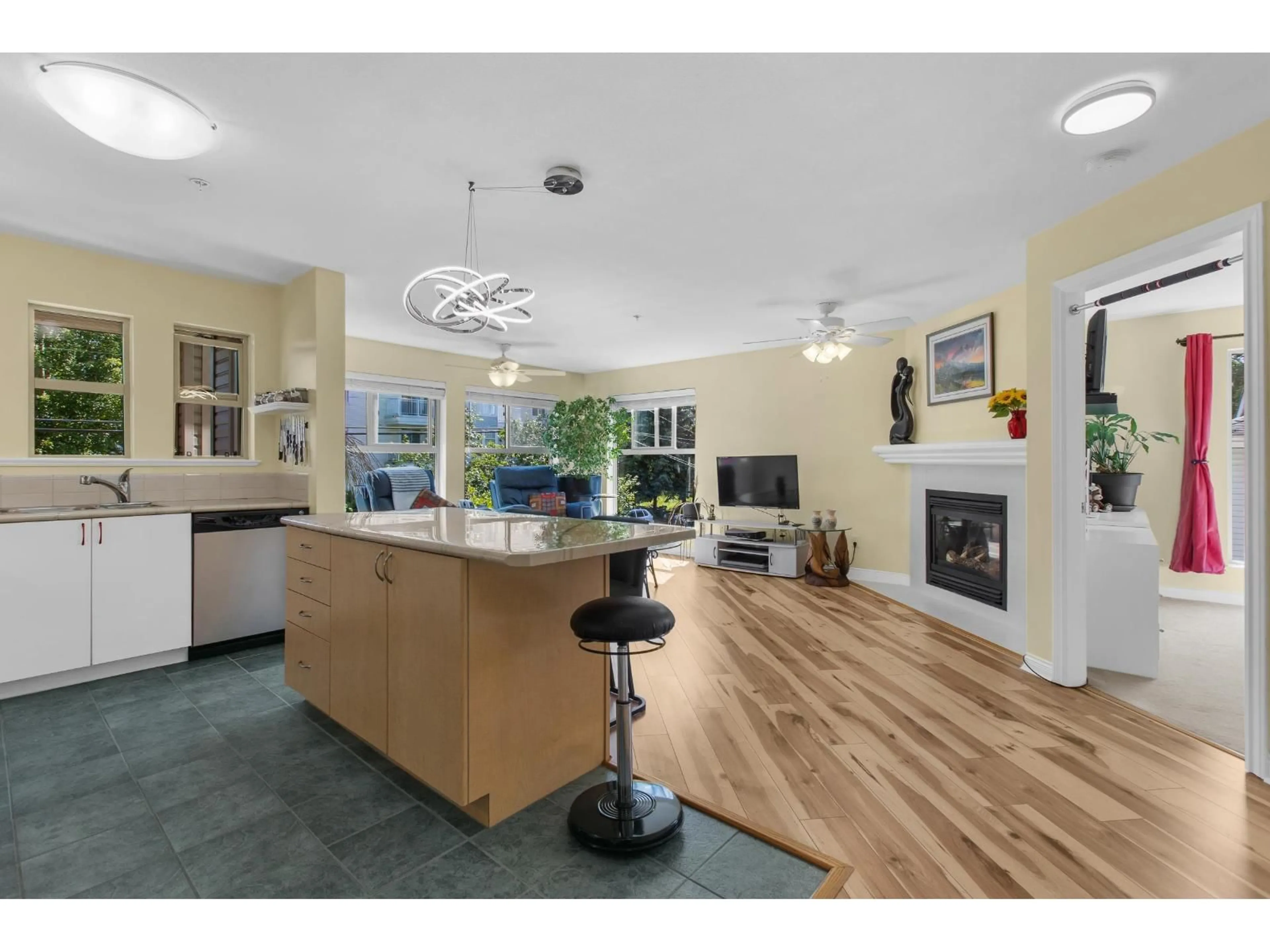 Open concept kitchen, unknown for 202 - 20237 54, Langley British Columbia V3A3W2