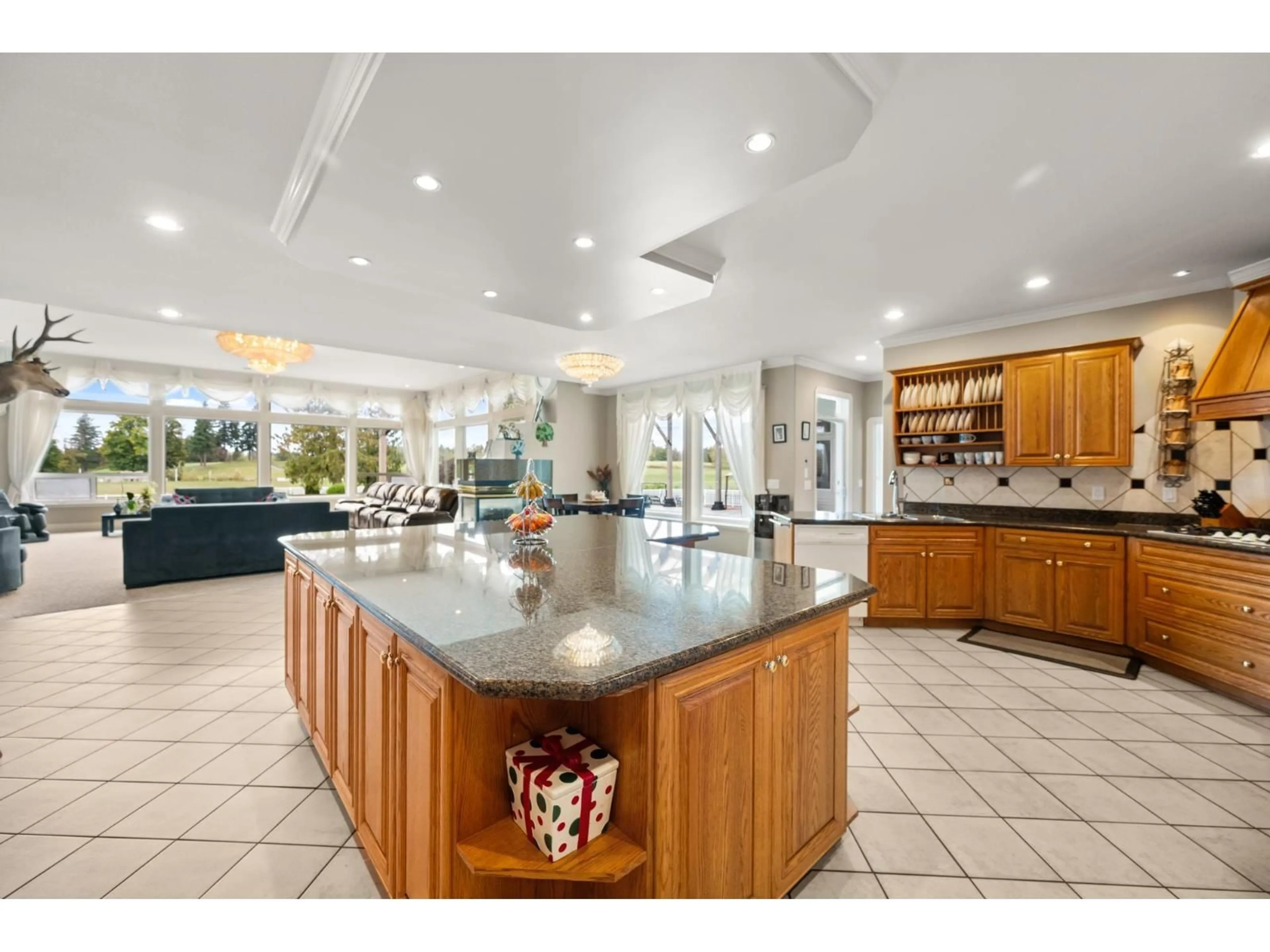 Open concept kitchen, ceramic/tile floor for 667 248, Langley British Columbia V4W2C2
