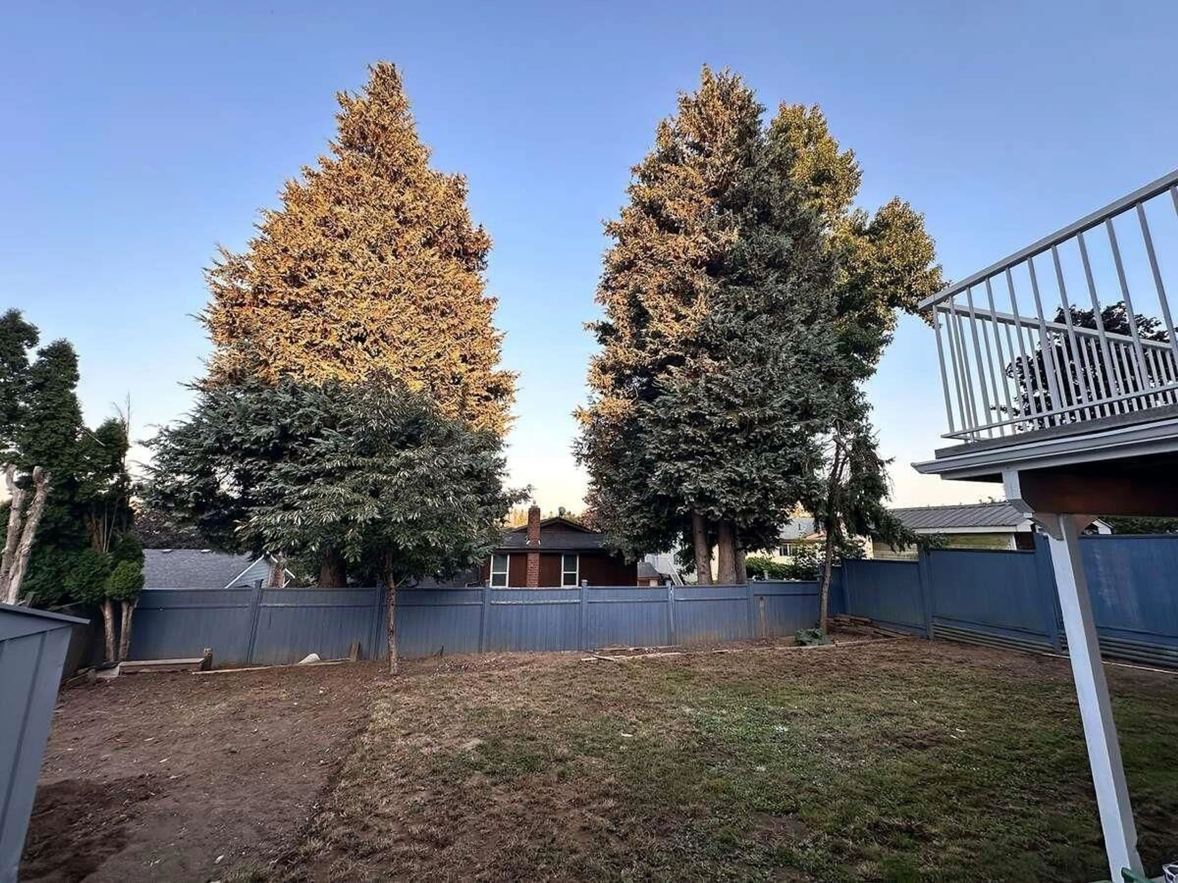 A pic from outside/outdoor area/front of a property/back of a property/a pic from drone, forest/trees view for 3782 LINDSAY, Abbotsford British Columbia V2S7A3
