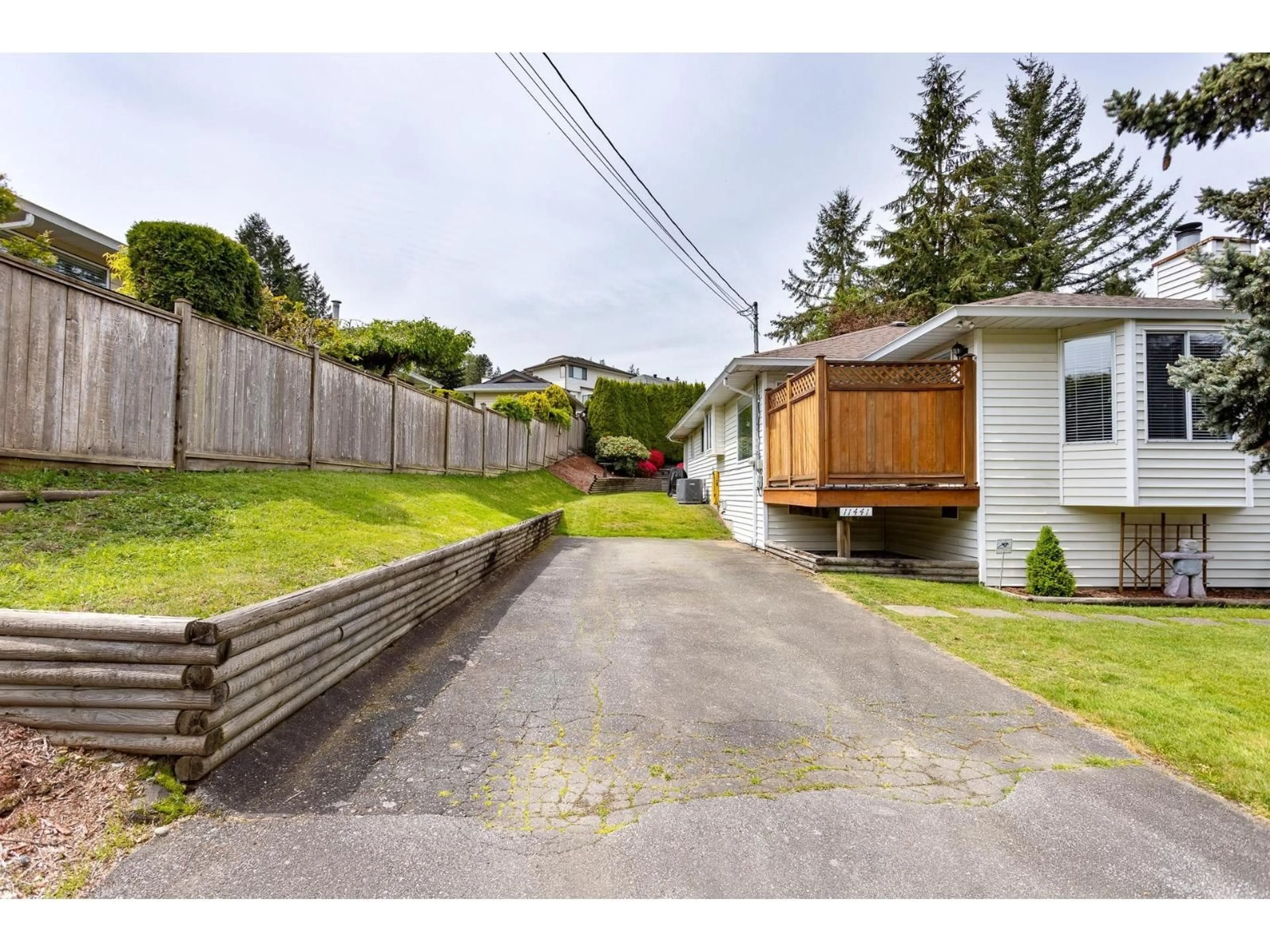 A pic from outside/outdoor area/front of a property/back of a property/a pic from drone, street for 11441 SURREY, Surrey British Columbia V3R5T4
