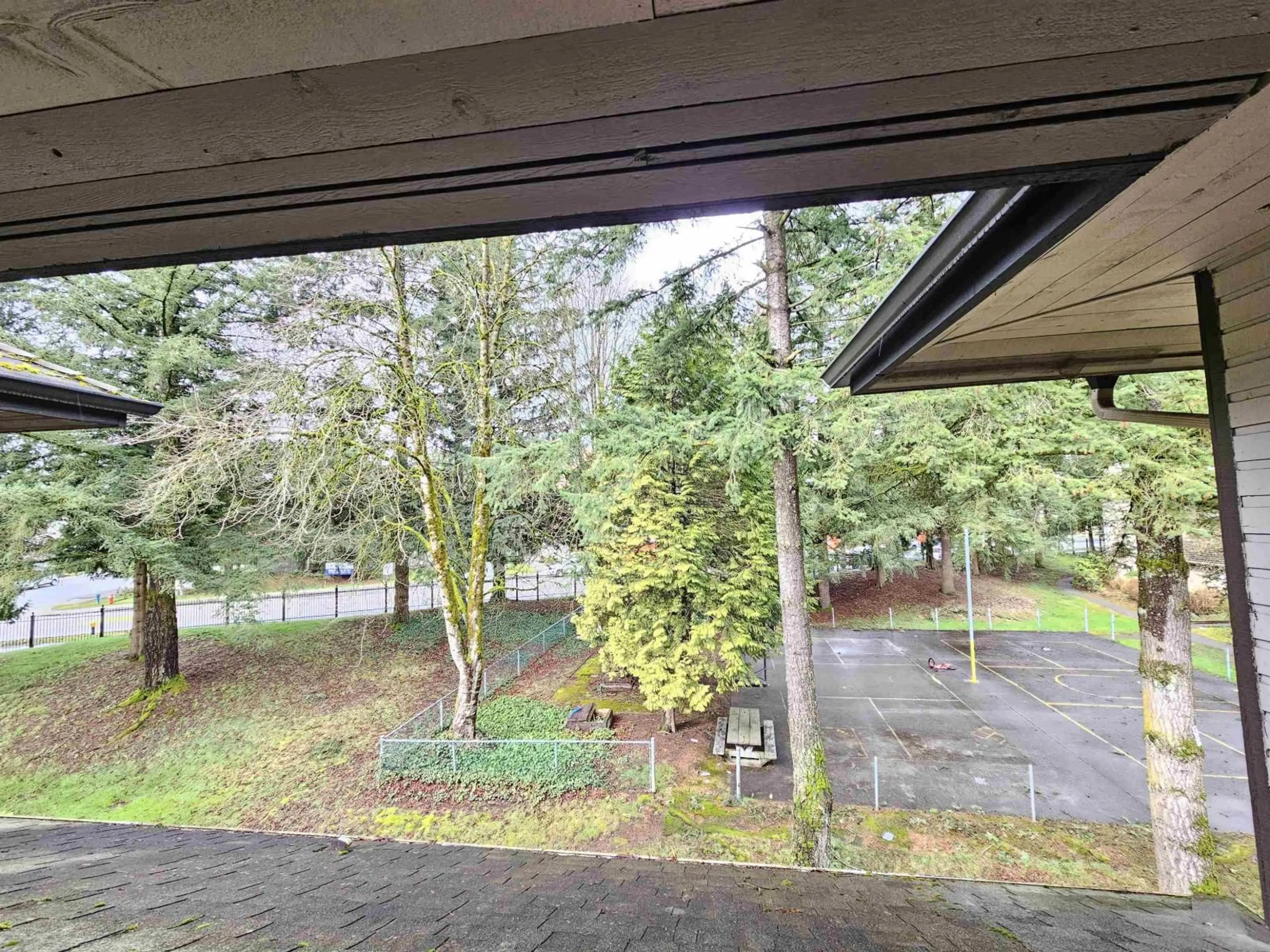 Patio, forest/trees view for 10539 HOLLY PARK, Surrey British Columbia V3R6X8