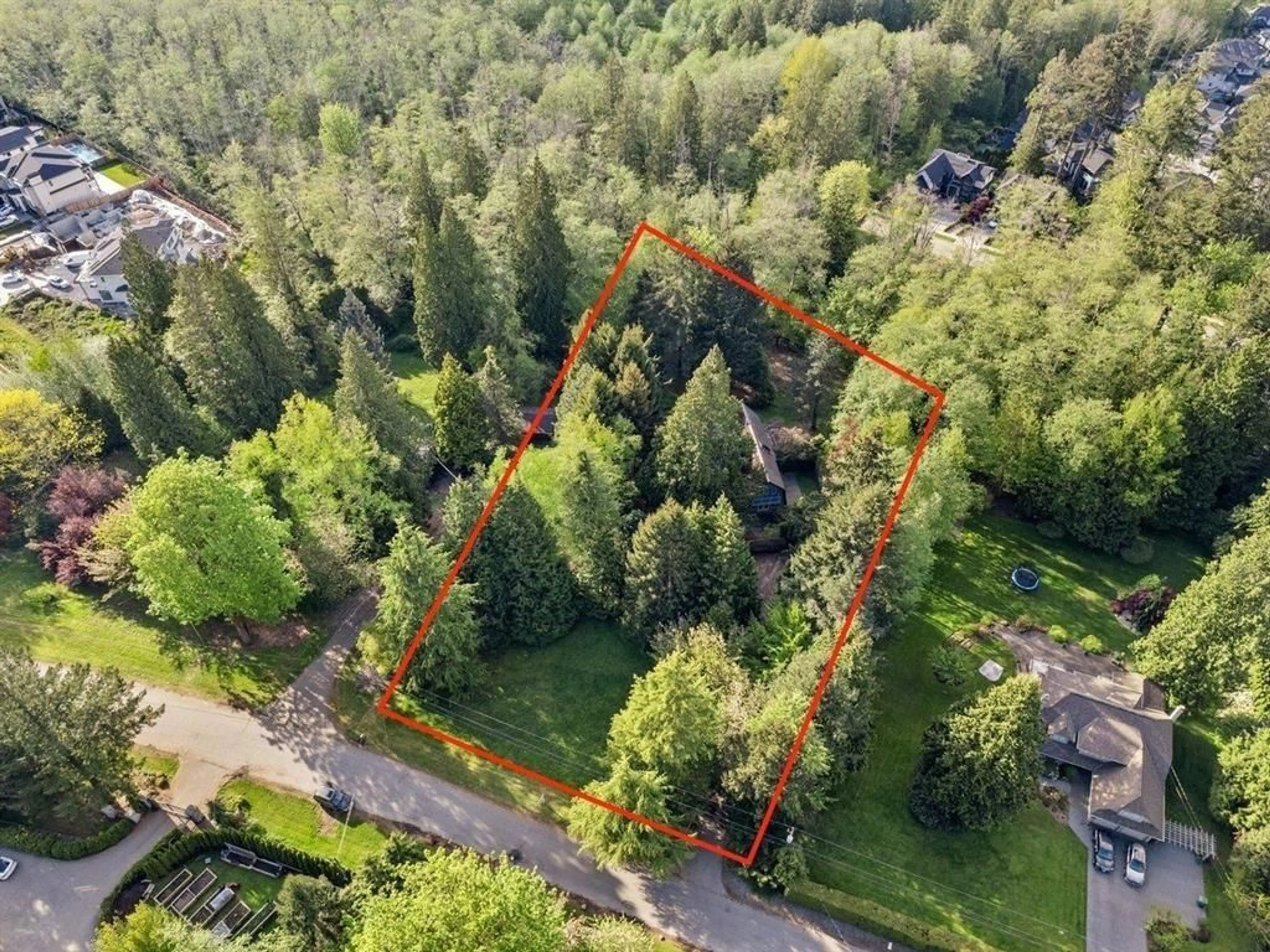 A pic from outside/outdoor area/front of a property/back of a property/a pic from drone, forest/trees view for 16651 NORTHVIEW, Surrey British Columbia V3Z0A8