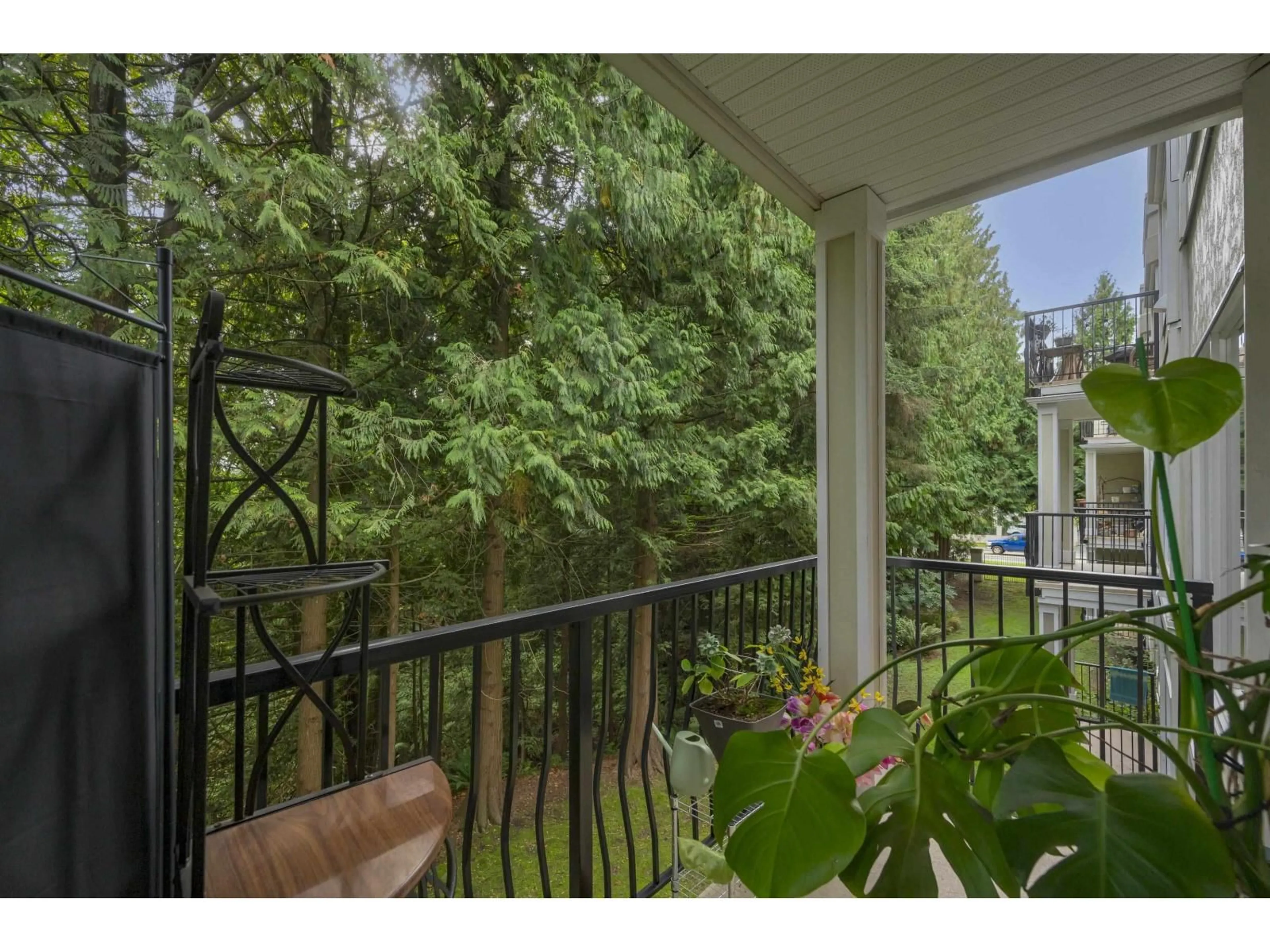 Balcony in the apartment, forest/trees view for 208 - 10320 156, Surrey British Columbia V3R4L8