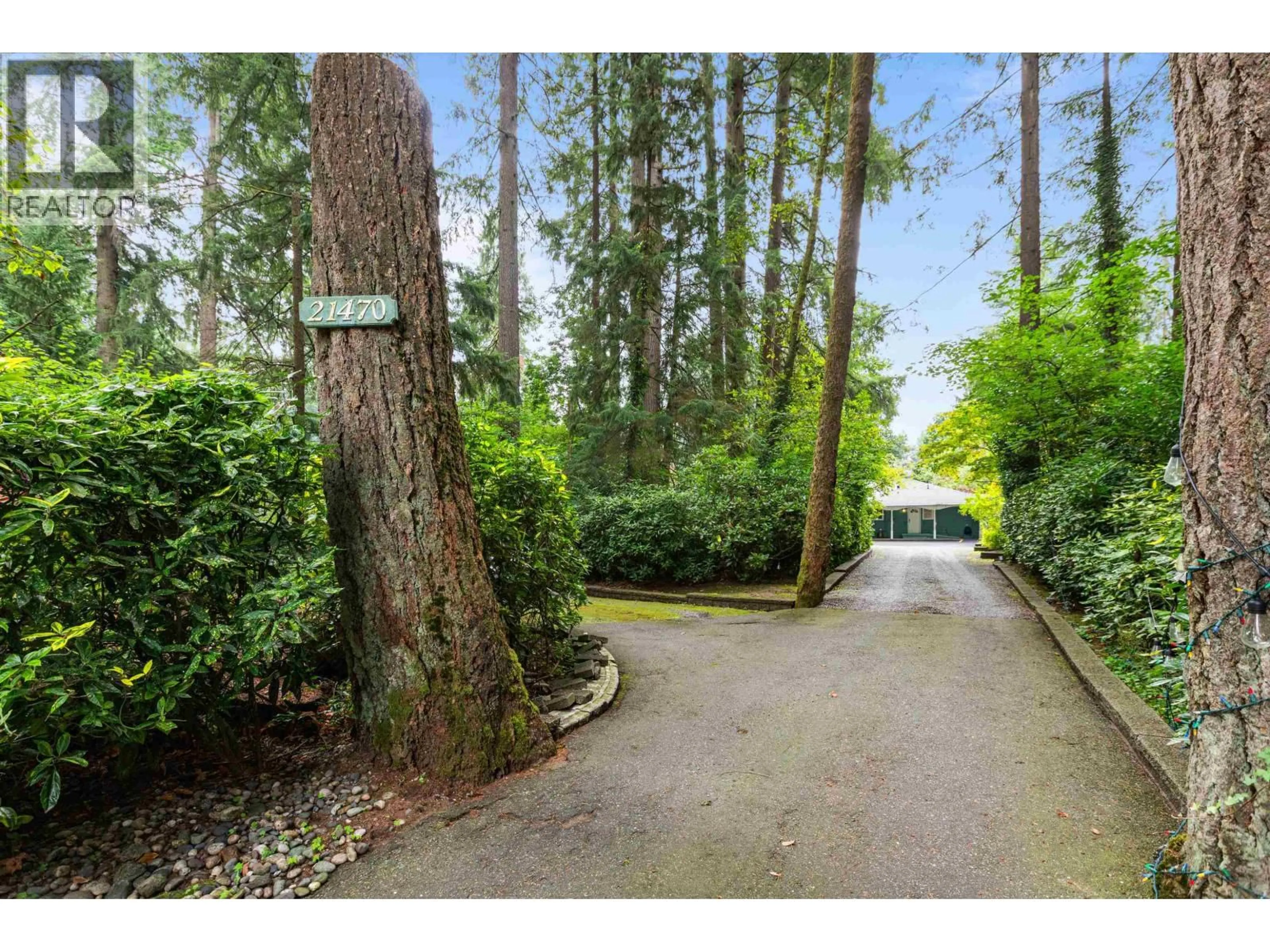A pic from outside/outdoor area/front of a property/back of a property/a pic from drone, forest/trees view for 21470 124TH AVENUE, Maple Ridge British Columbia V2X4H3