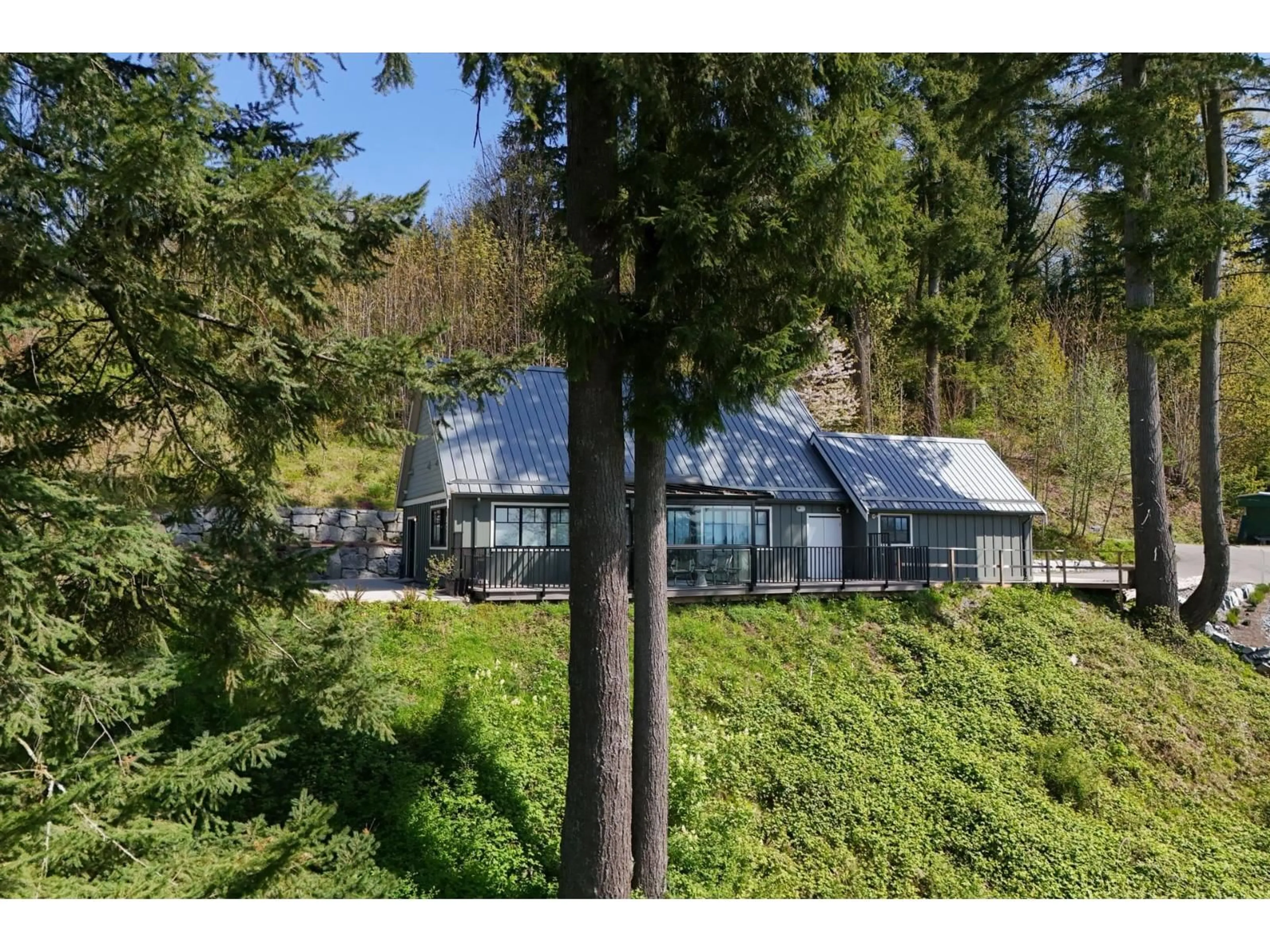 A pic from outside/outdoor area/front of a property/back of a property/a pic from drone, forest/trees view for 9507 DAWSON, Mission British Columbia V2V6B2