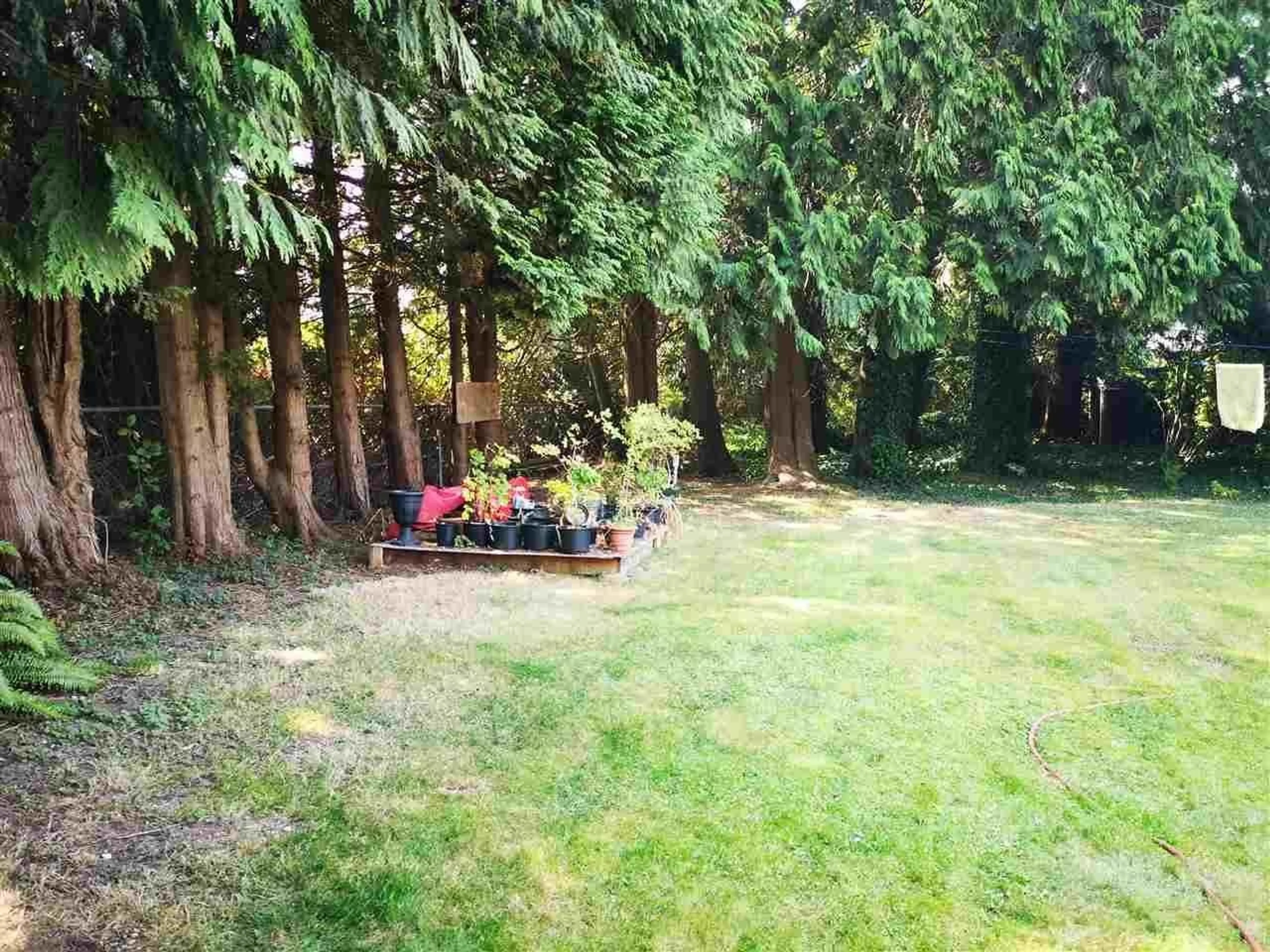 A pic from outside/outdoor area/front of a property/back of a property/a pic from drone, forest/trees view for 8749 112, Delta British Columbia V4C4X2