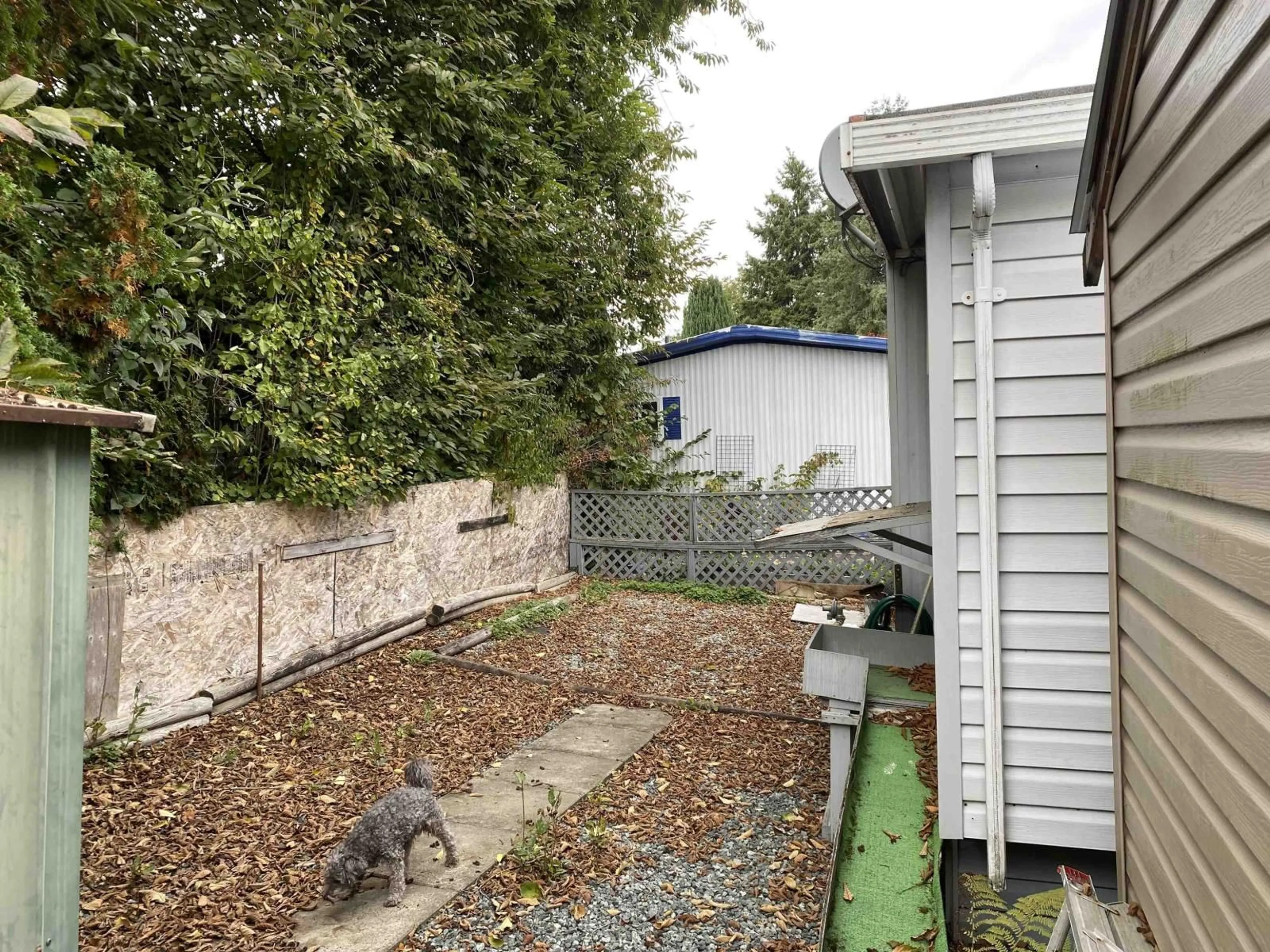A pic from outside/outdoor area/front of a property/back of a property/a pic from drone, street for 42 - 13650 80, Surrey British Columbia V3W6J8