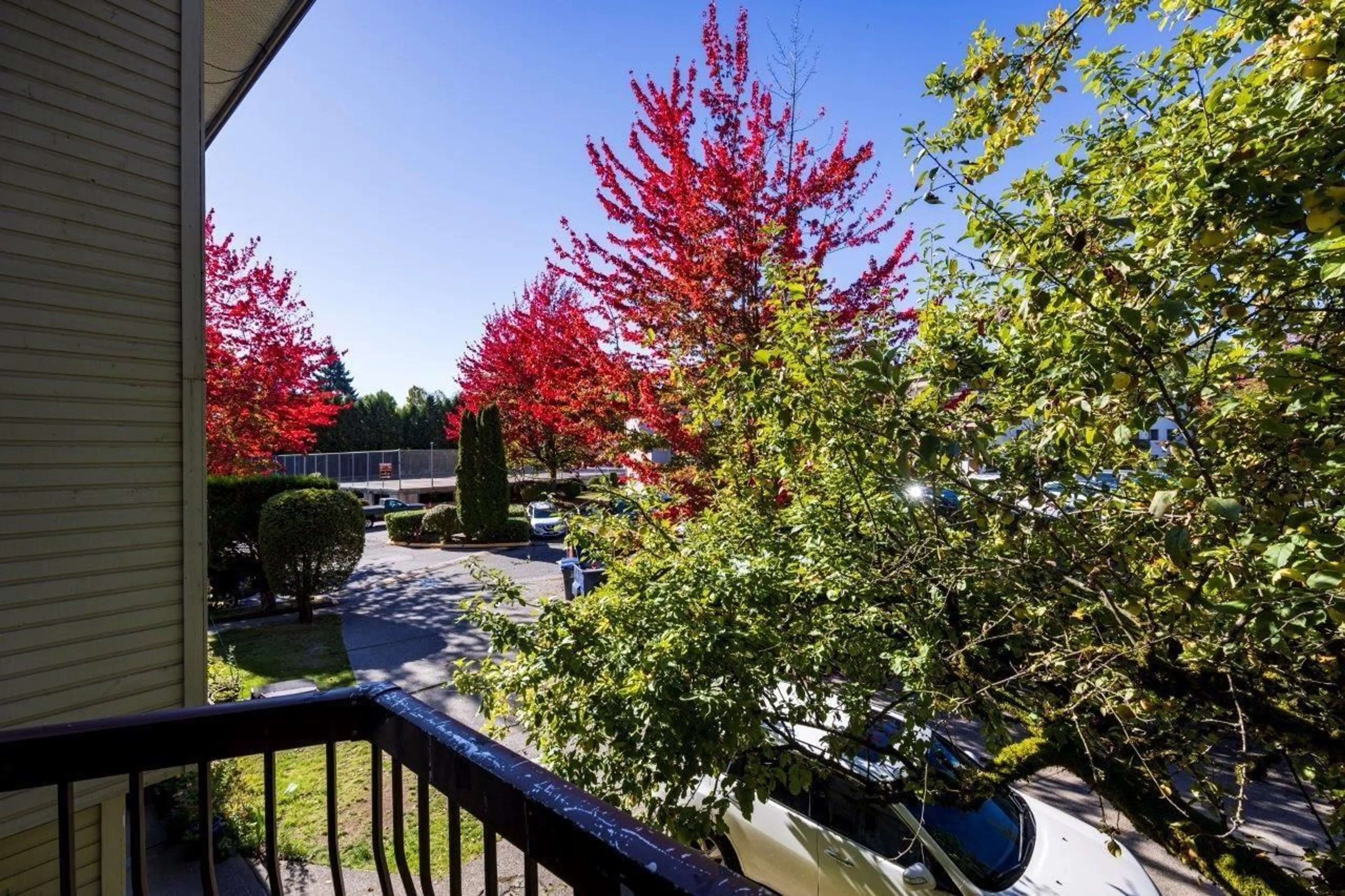 Patio, forest/trees view for 203 - 7144 133B, Surrey British Columbia V3W8A4