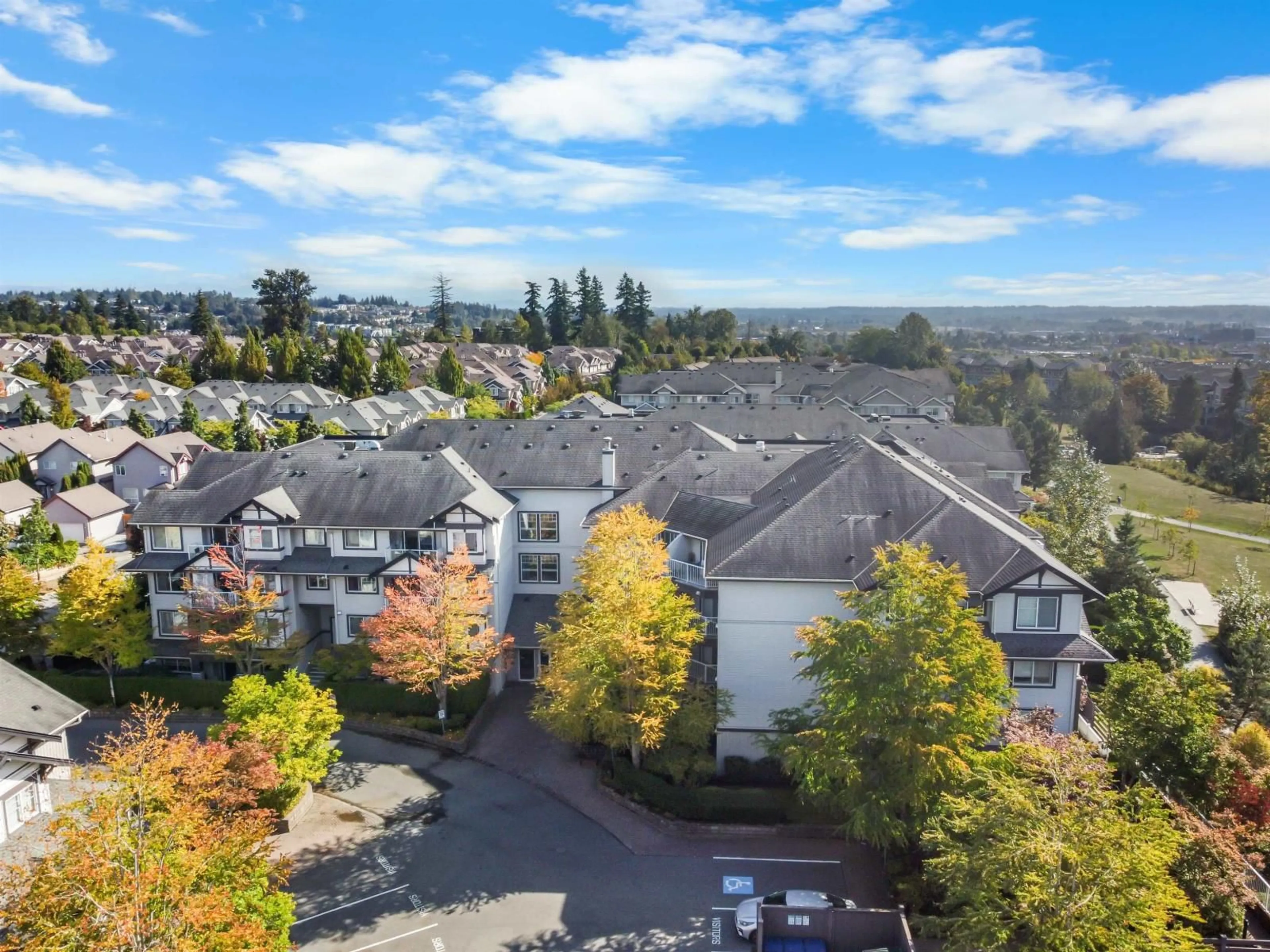 A pic from outside/outdoor area/front of a property/back of a property/a pic from drone, mountain view for 307 - 19340 65, Surrey British Columbia V4N0A3
