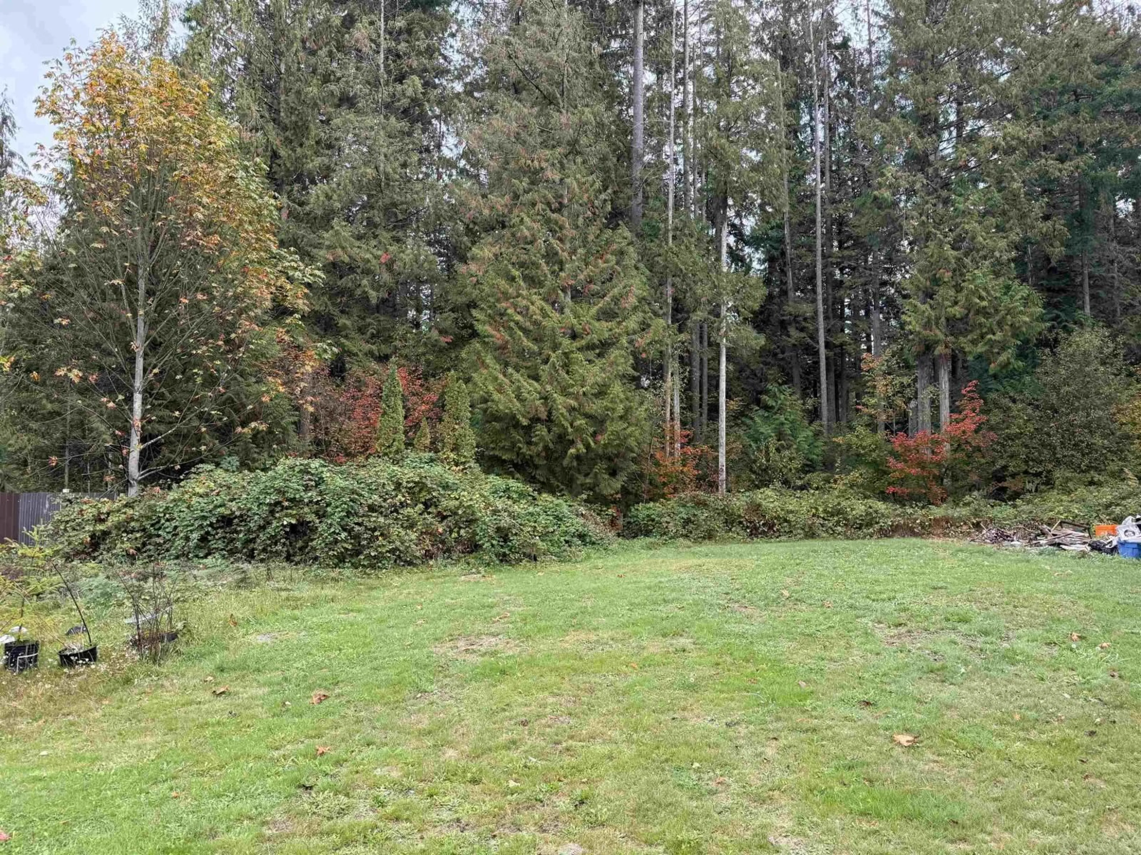 A pic from outside/outdoor area/front of a property/back of a property/a pic from drone, forest/trees view for 30727 KEYSTONE, Mission British Columbia V4S1G5