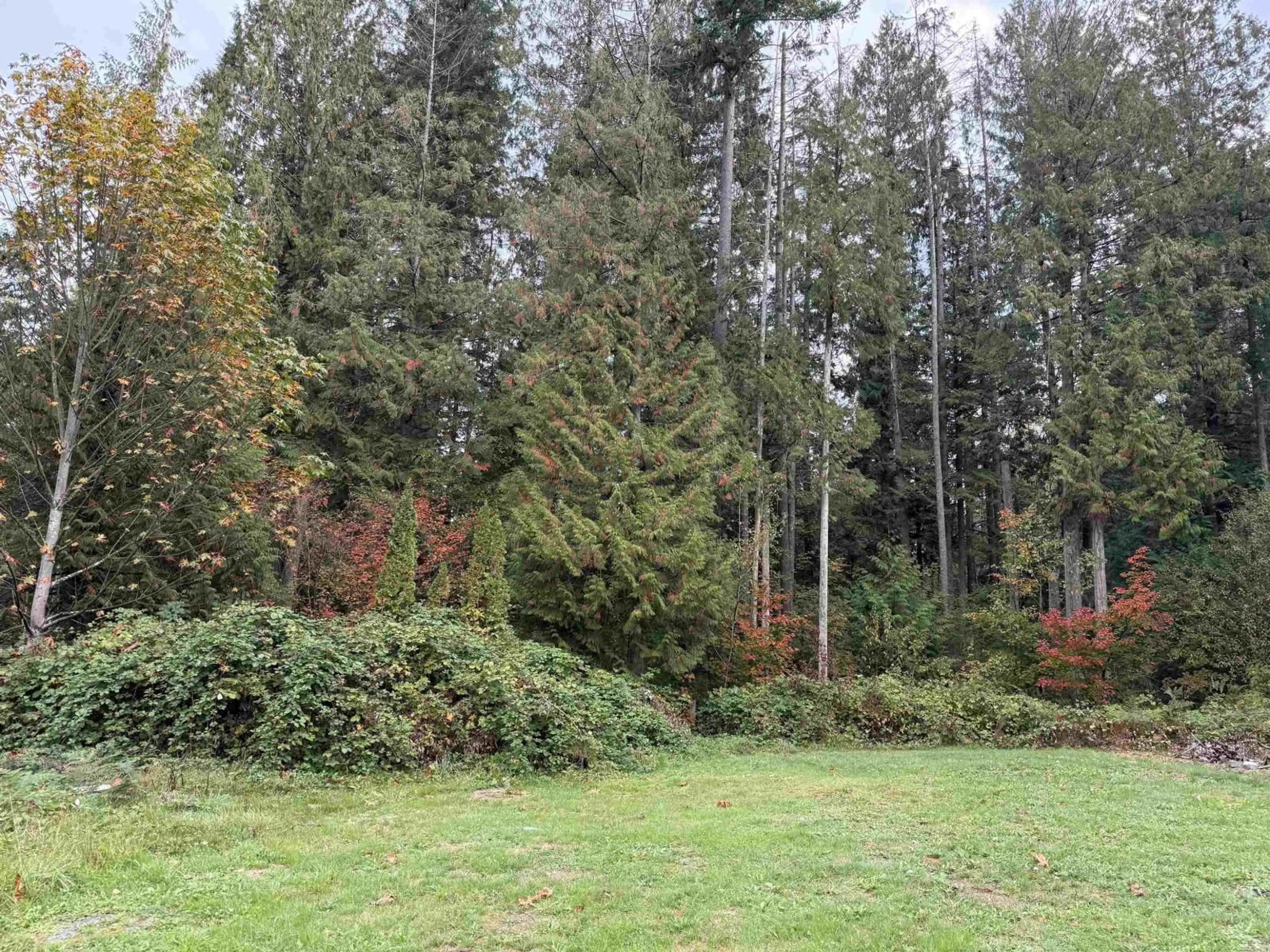A pic from outside/outdoor area/front of a property/back of a property/a pic from drone, forest/trees view for 30727 KEYSTONE, Mission British Columbia V4S1G5