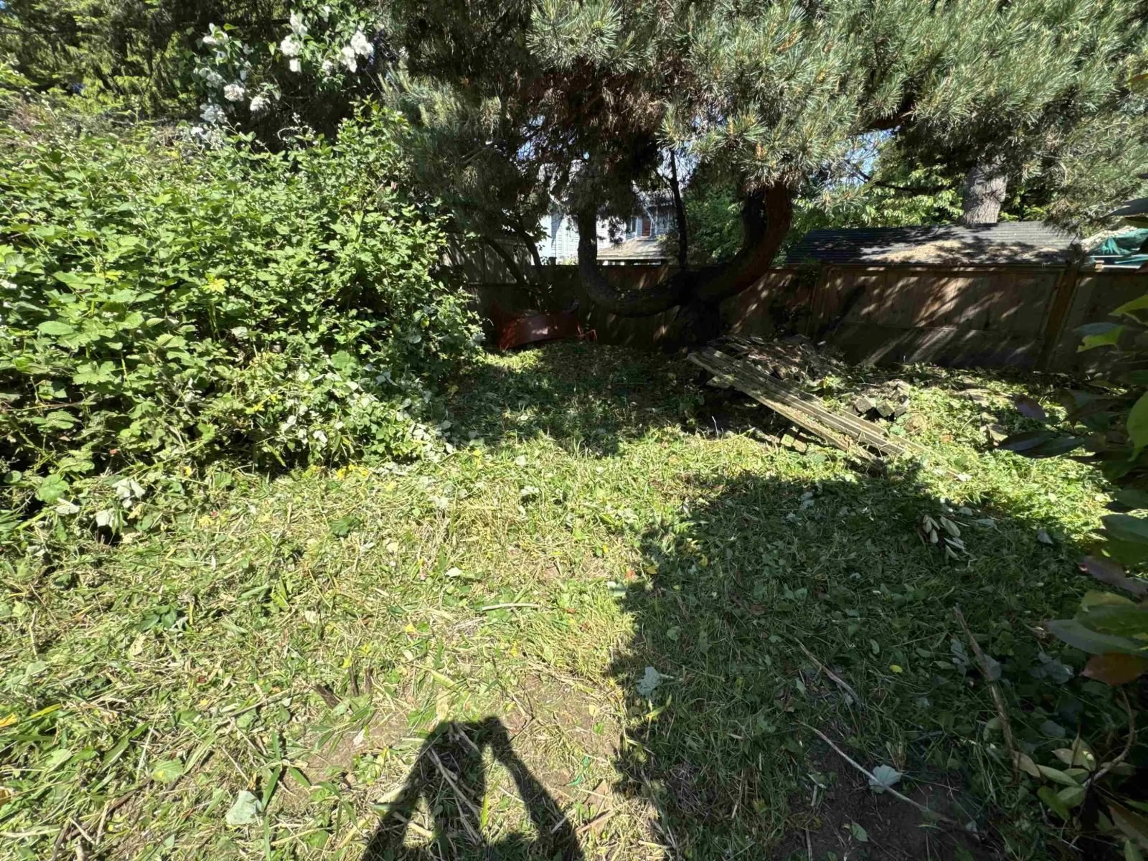 A pic from outside/outdoor area/front of a property/back of a property/a pic from drone, forest/trees view for 15671 MARINE DRIVE, White Rock British Columbia V4B1E3