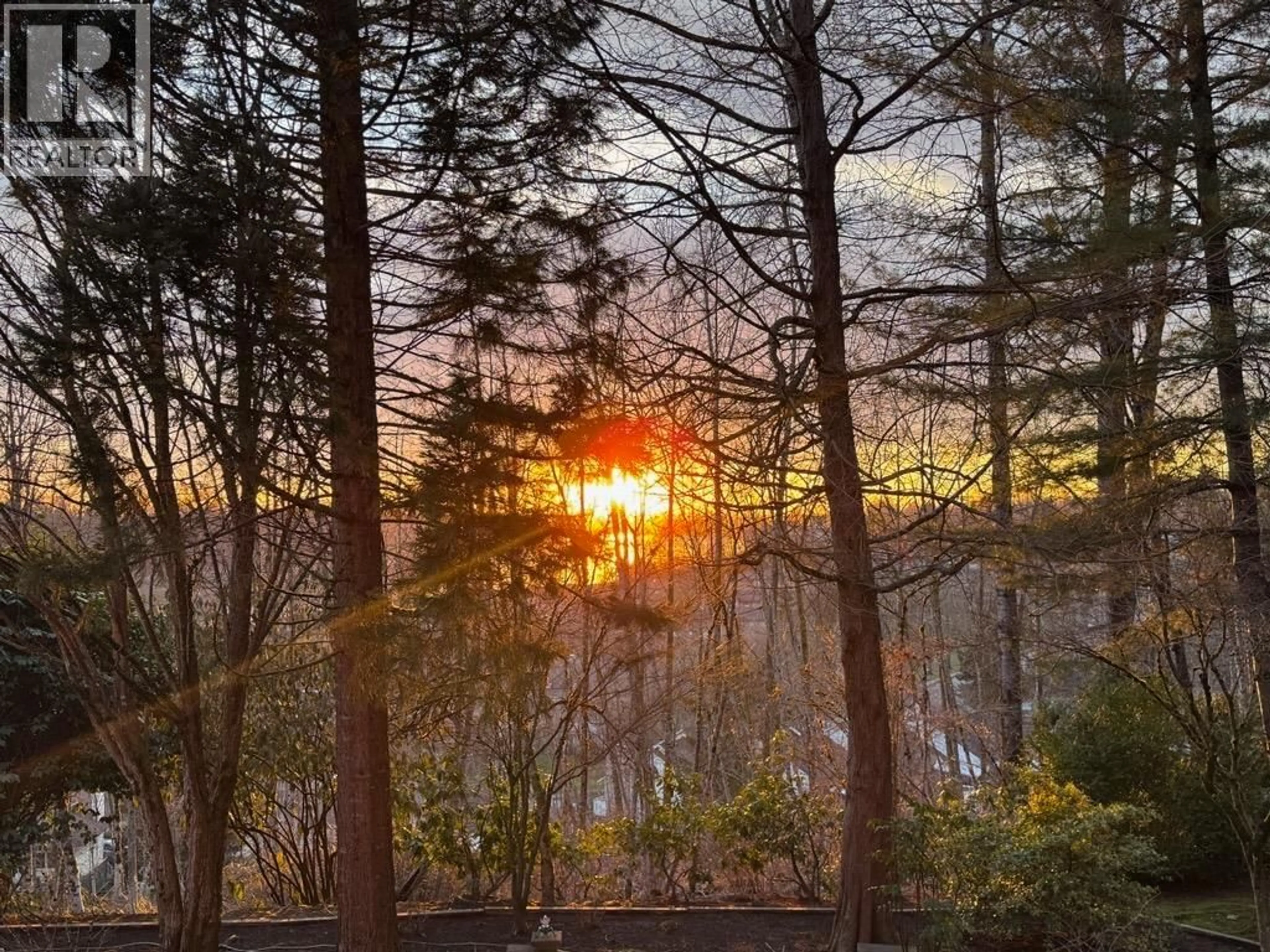 Blurry image for 205 - 11609 227 STREET, Maple Ridge British Columbia V2X2L9