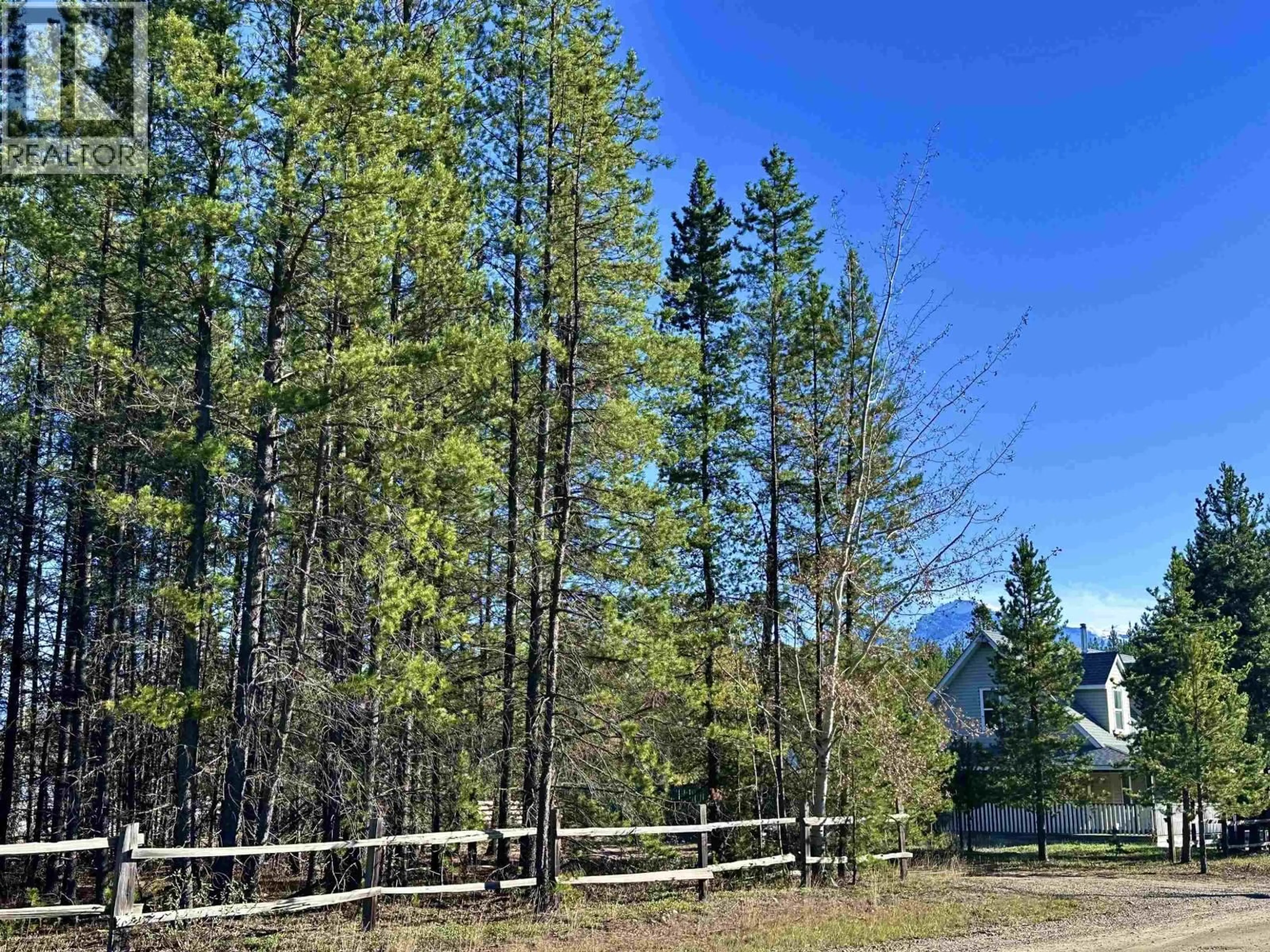 A pic from outside/outdoor area/front of a property/back of a property/a pic from drone, forest/trees view for 205 DOGWOOD STREET, Valemount British Columbia V0E2Z0