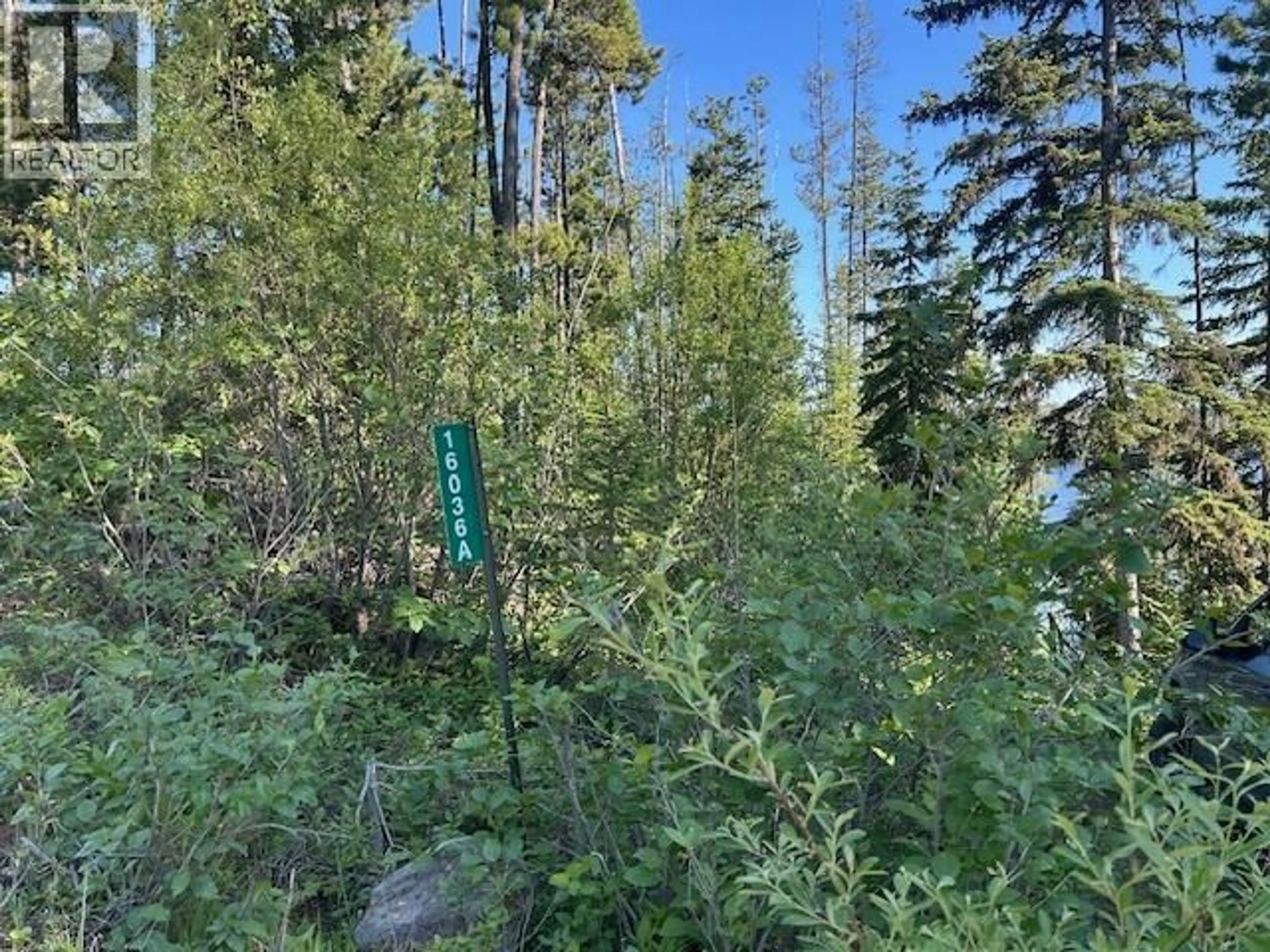A pic from outside/outdoor area/front of a property/back of a property/a pic from drone, forest/trees view for 16036 NORMAN LAKE ROAD, Prince George British Columbia V2N6P4