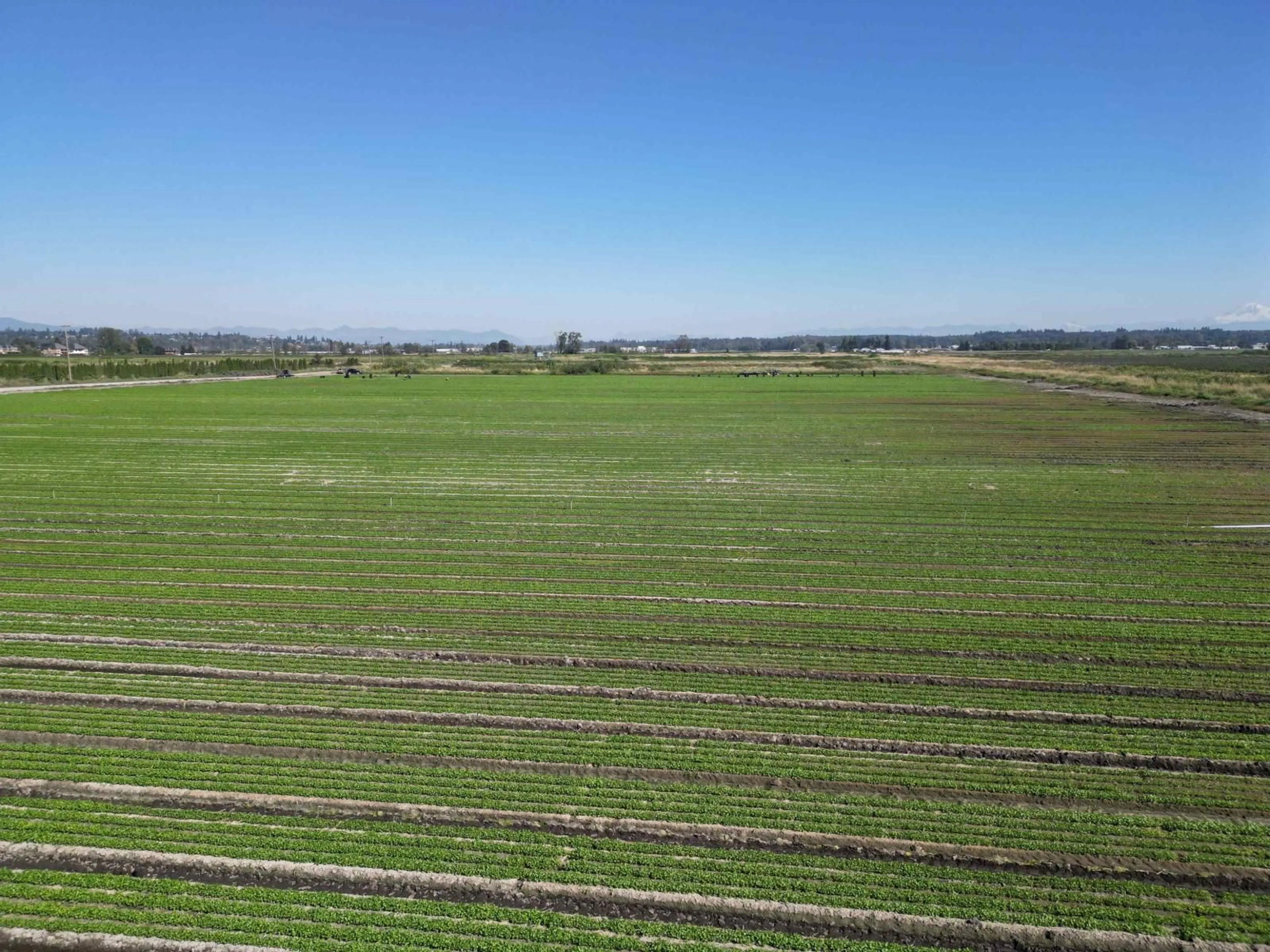 A pic from outside/outdoor area/front of a property/back of a property/a pic from drone, unknown for 4444 168, Surrey British Columbia V3Z1E3