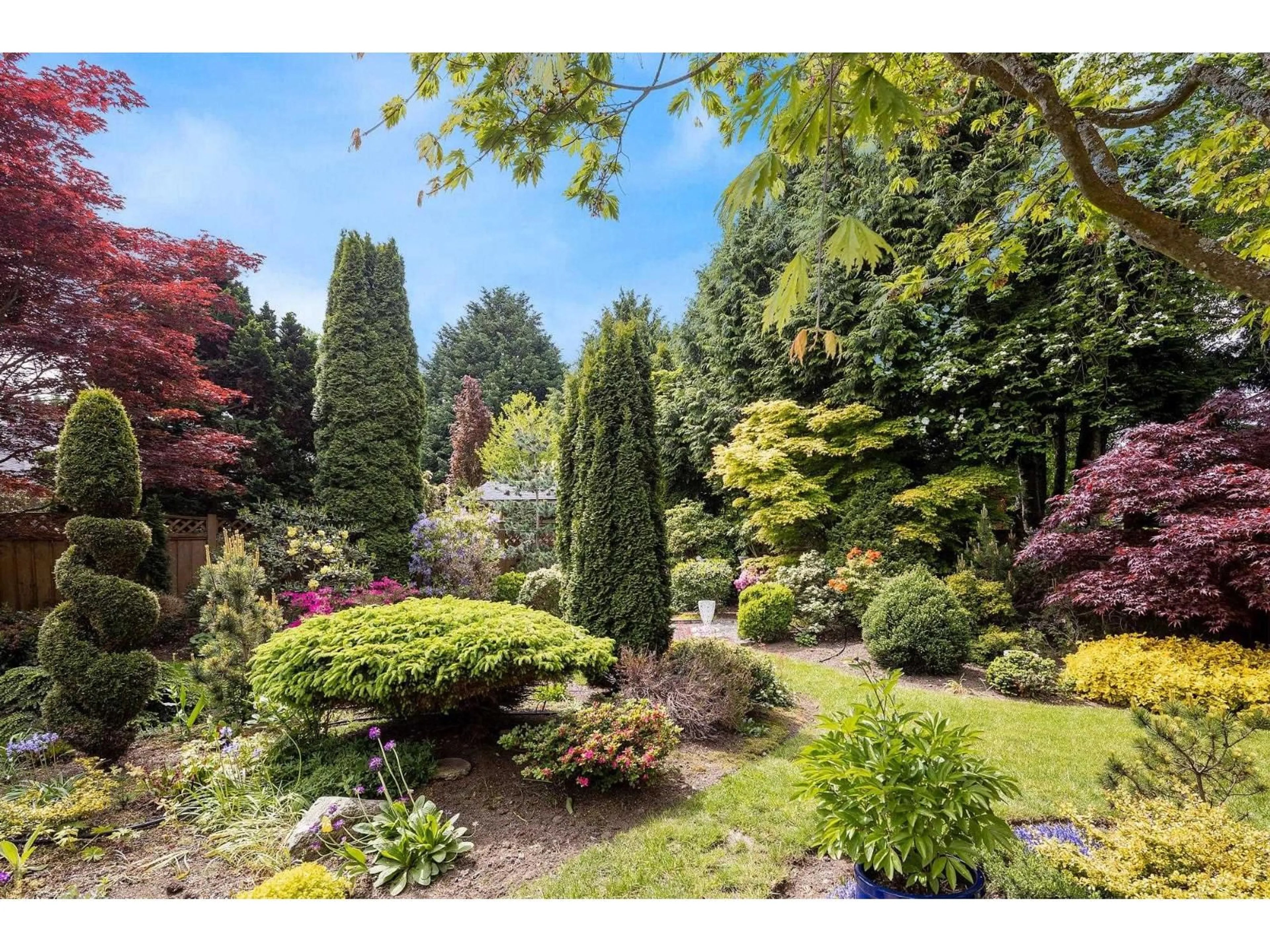 A pic from outside/outdoor area/front of a property/back of a property/a pic from drone, forest/trees view for 12986 20, Surrey British Columbia V4A1Y9