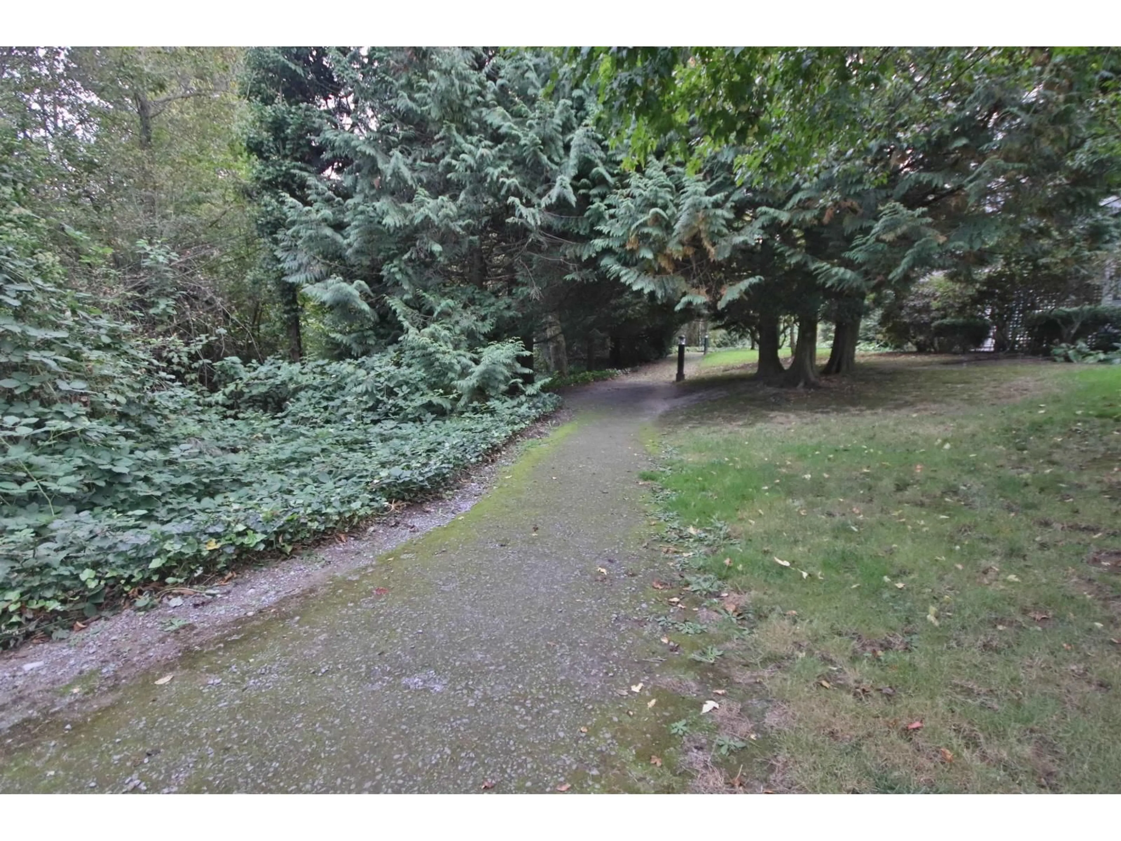 A pic from outside/outdoor area/front of a property/back of a property/a pic from drone, forest/trees view for 147 - 27358 32, Langley British Columbia V4W3M5