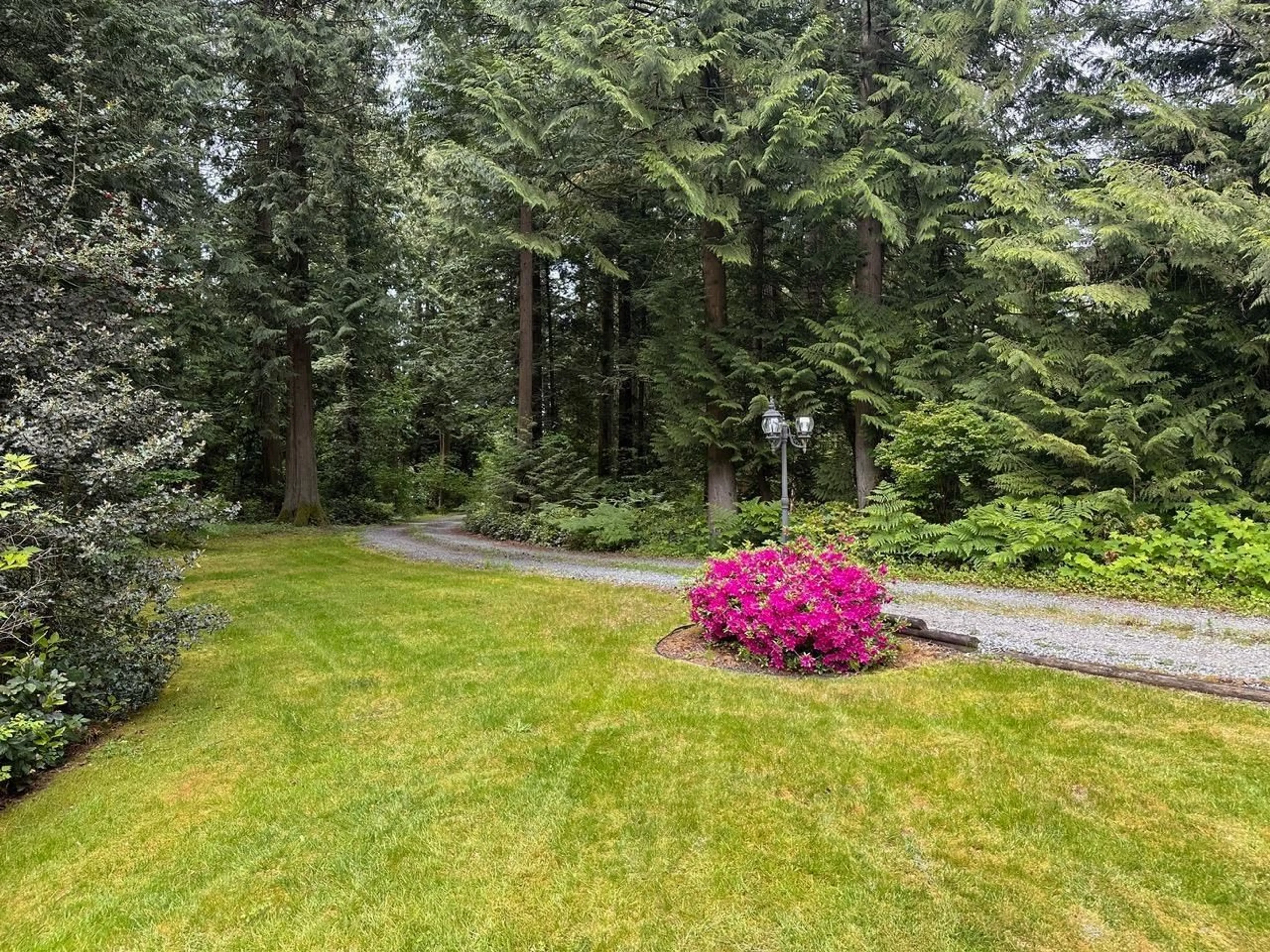 A pic from outside/outdoor area/front of a property/back of a property/a pic from drone, forest/trees view for 2240 198, Langley British Columbia V2Z1Y8