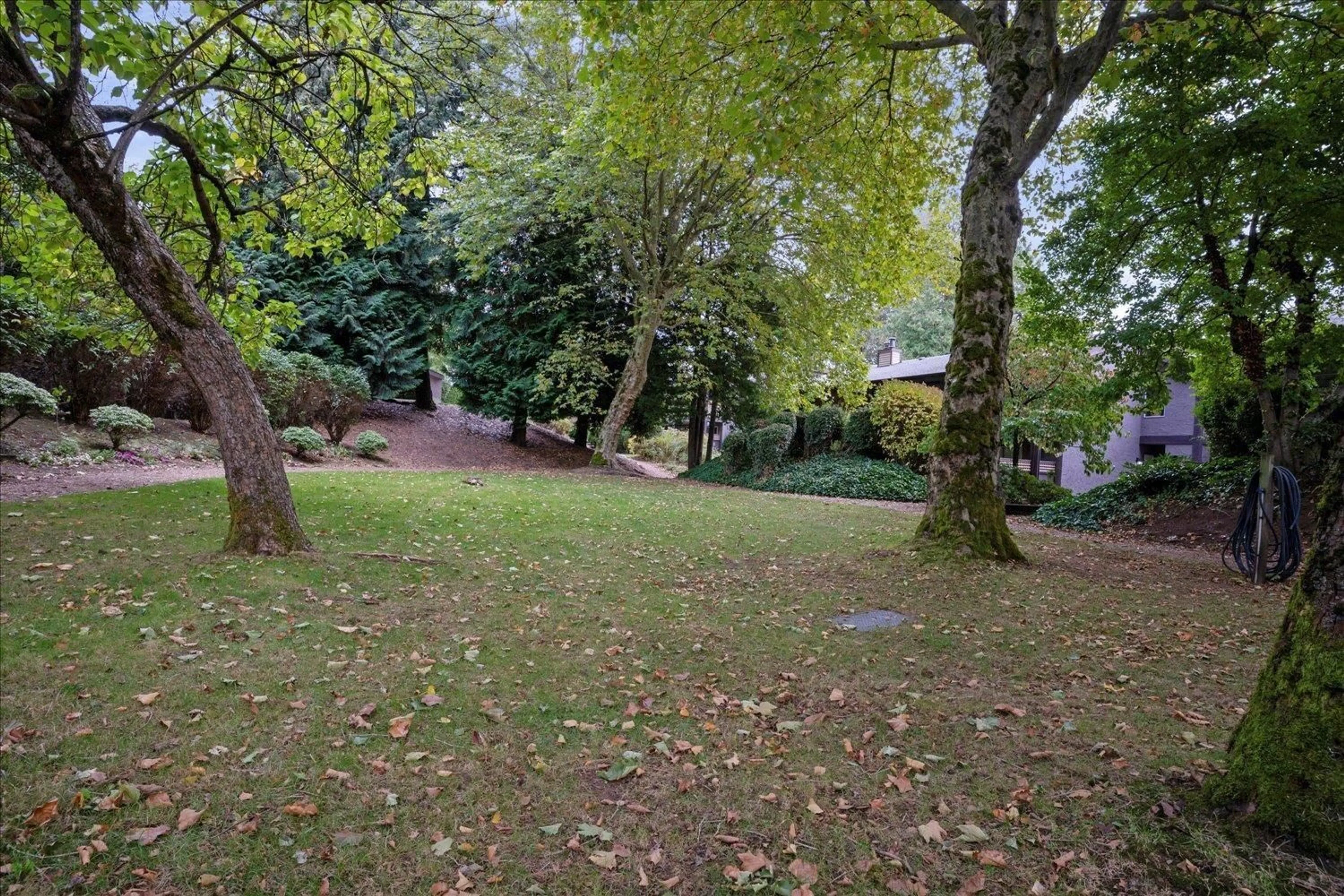 A pic from outside/outdoor area/front of a property/back of a property/a pic from drone, forest/trees view for 1621 - 34909 OLD YALE, Abbotsford British Columbia V3G2E7