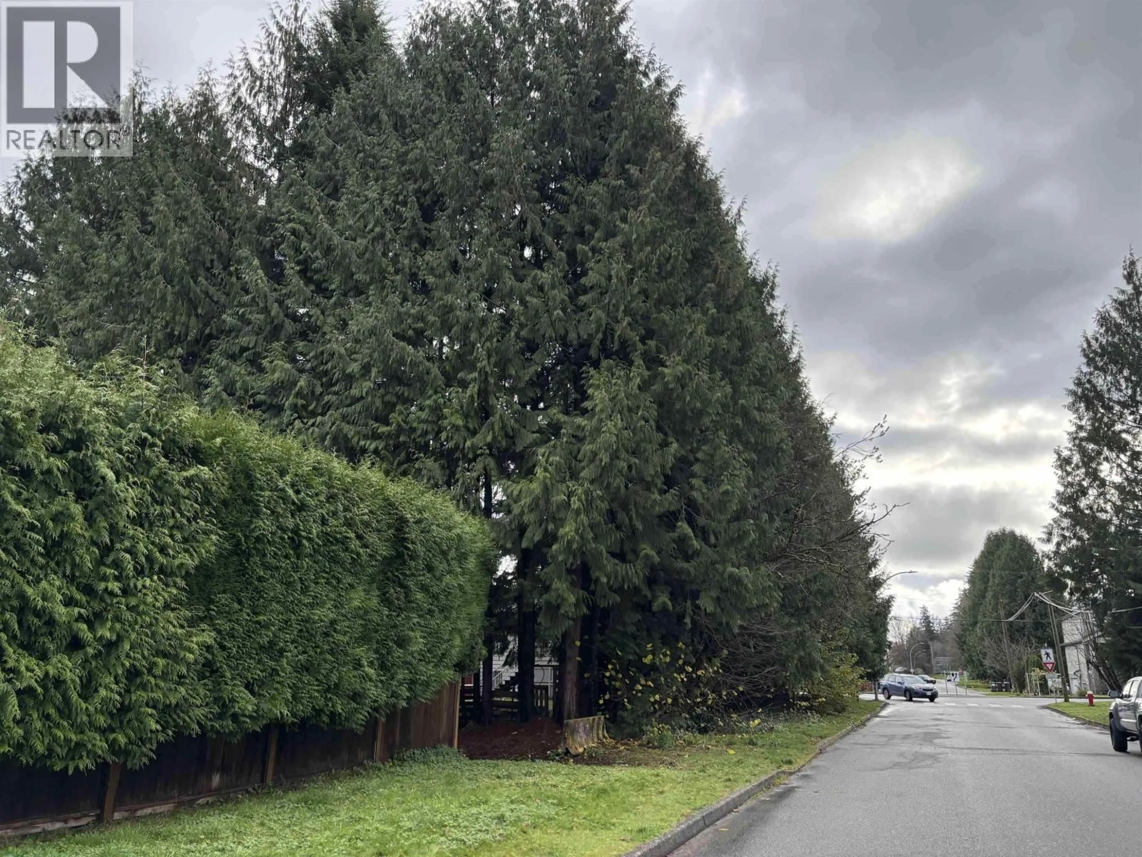 A pic from outside/outdoor area/front of a property/back of a property/a pic from drone, forest/trees view for 1791 LANGAN AVENUE, Port Coquitlam British Columbia V3C1K8