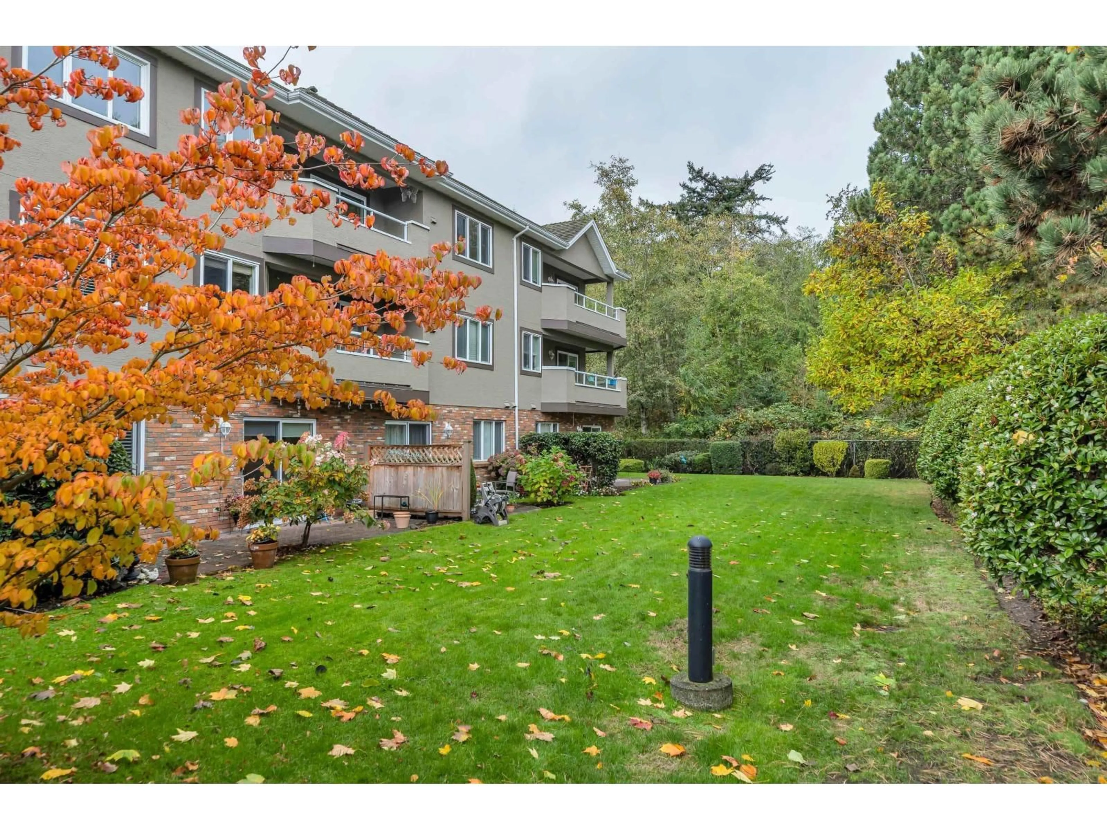 Patio, unknown for 211 - 2239 152, Surrey British Columbia V4A4P1