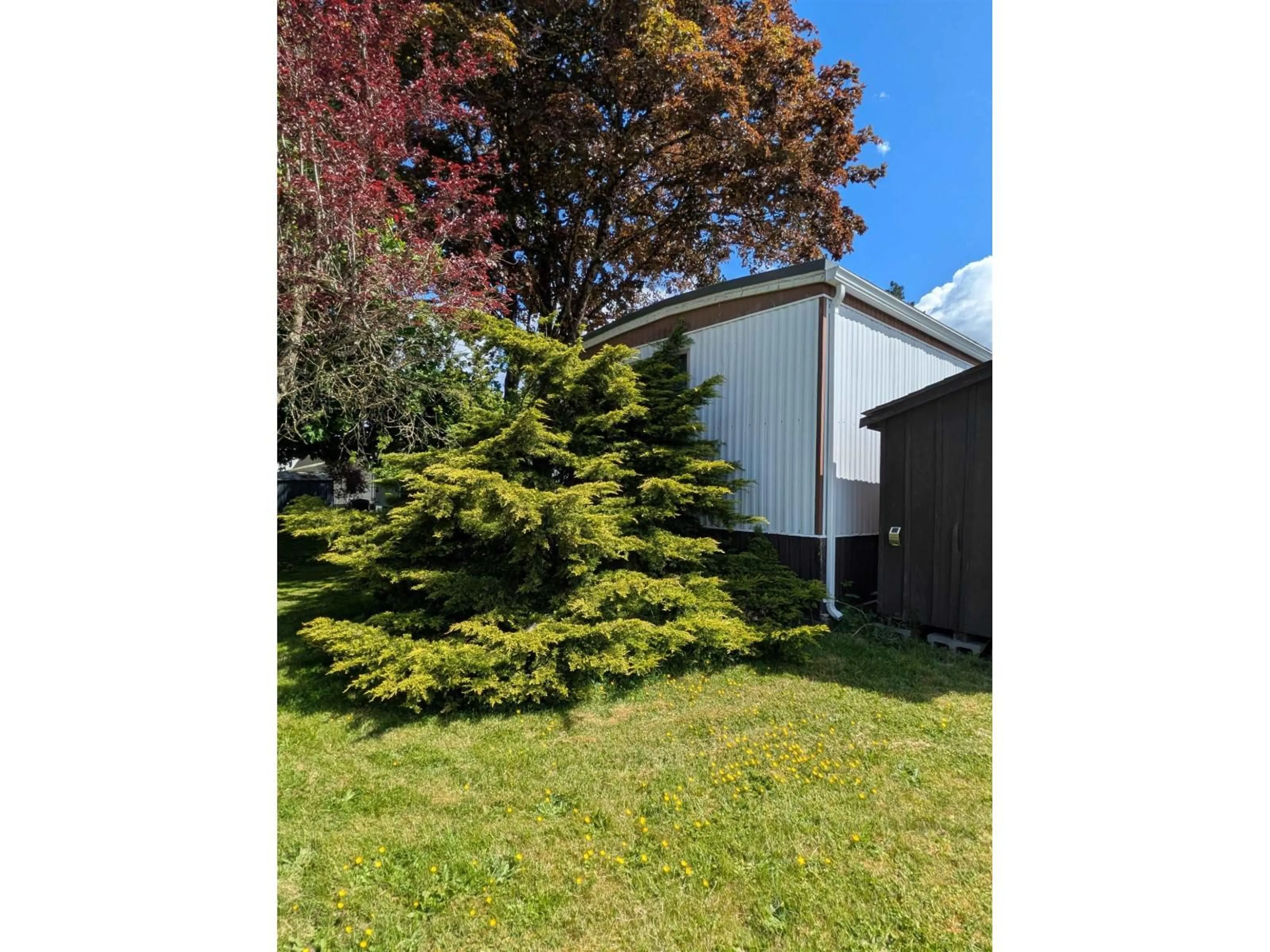 A pic from outside/outdoor area/front of a property/back of a property/a pic from drone, forest/trees view for 5 - 23141 72, Langley British Columbia V2Y2R9