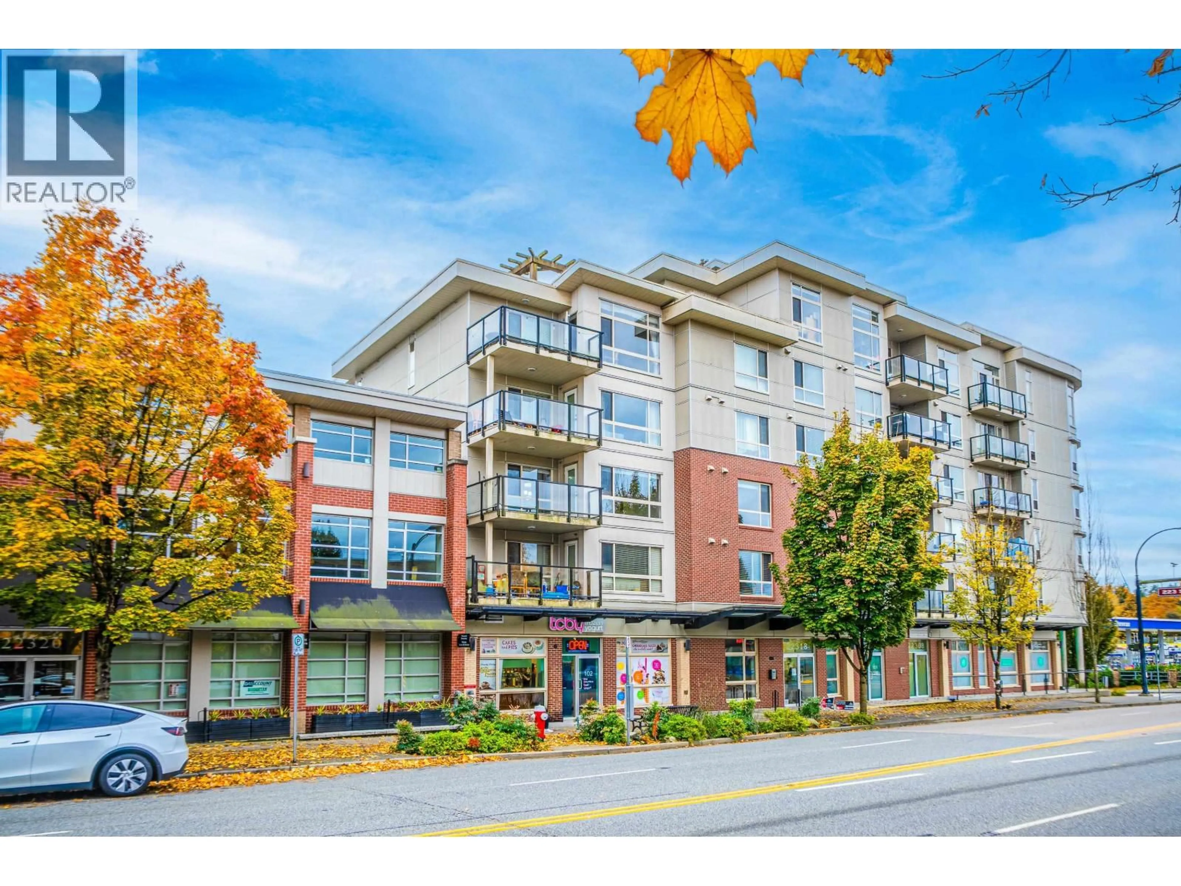 Unknown for 303 - 22318 LOUGHEED HIGHWAY, Maple Ridge British Columbia V2X2T4
